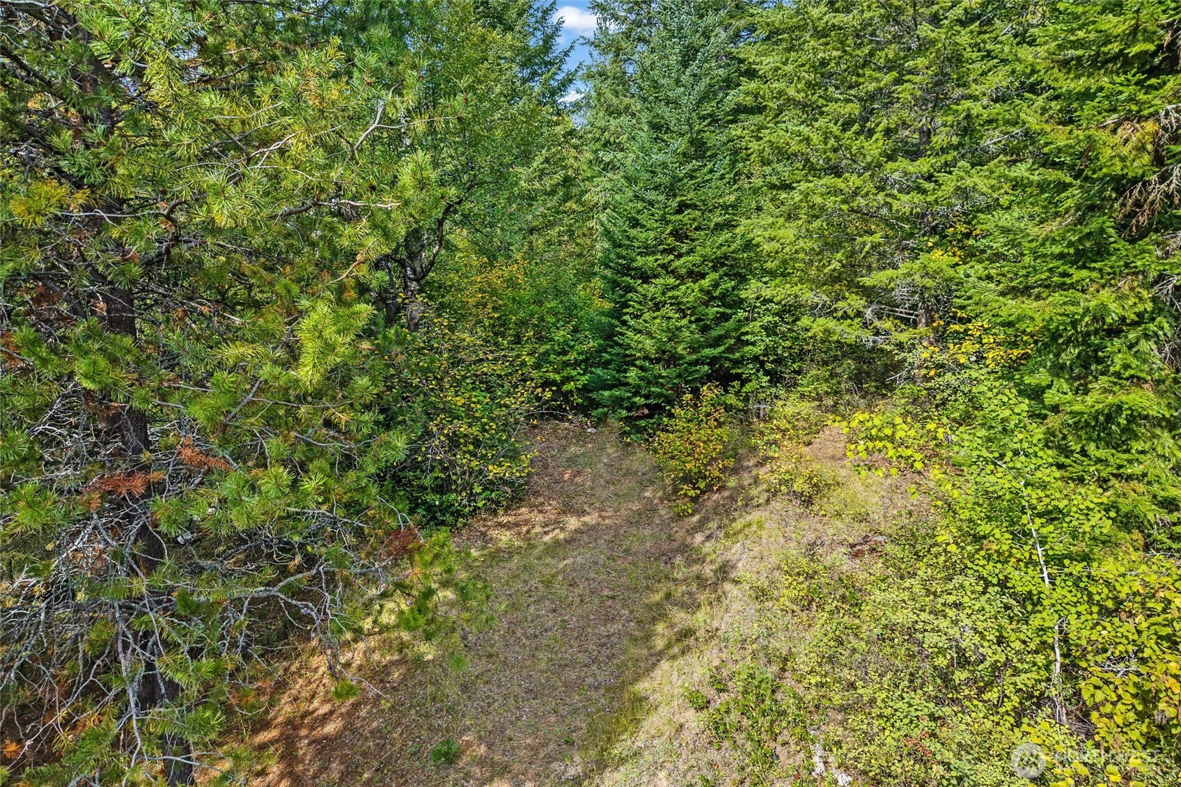 220 Catamount Ridge Lane Property Photo 40