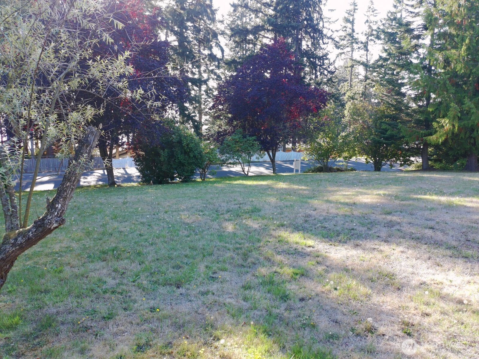 0 Robinswood Lane Property Photo 5