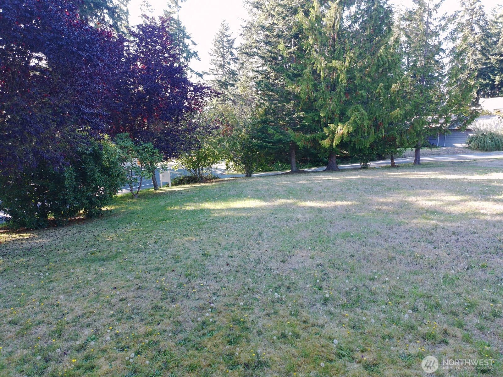 0 Robinswood Lane Property Photo 6