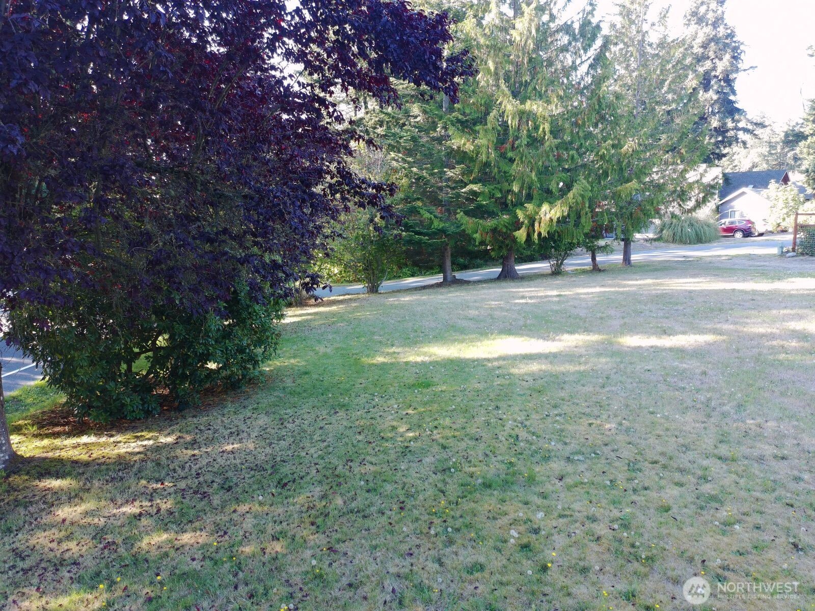 0 Robinswood Lane Property Photo 7
