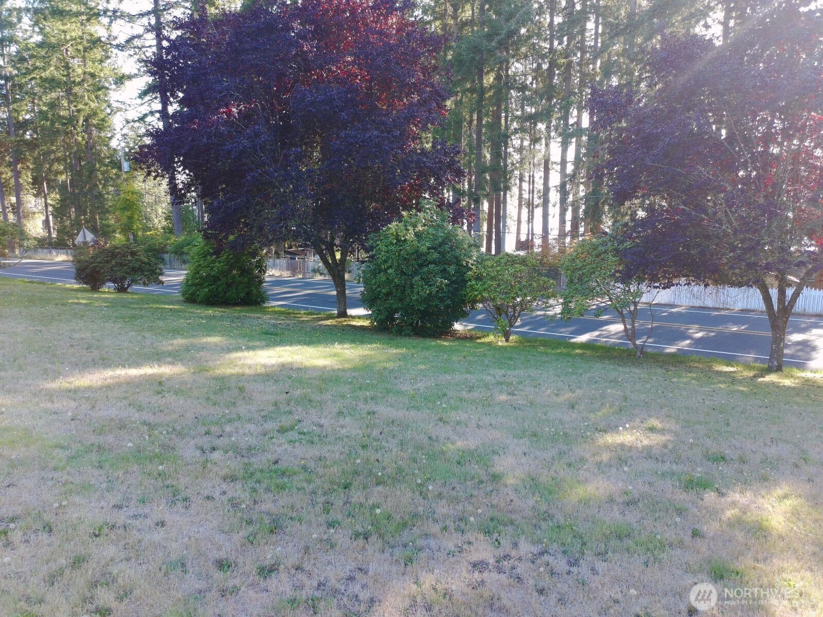 0 Robinswood Lane Property Photo 9