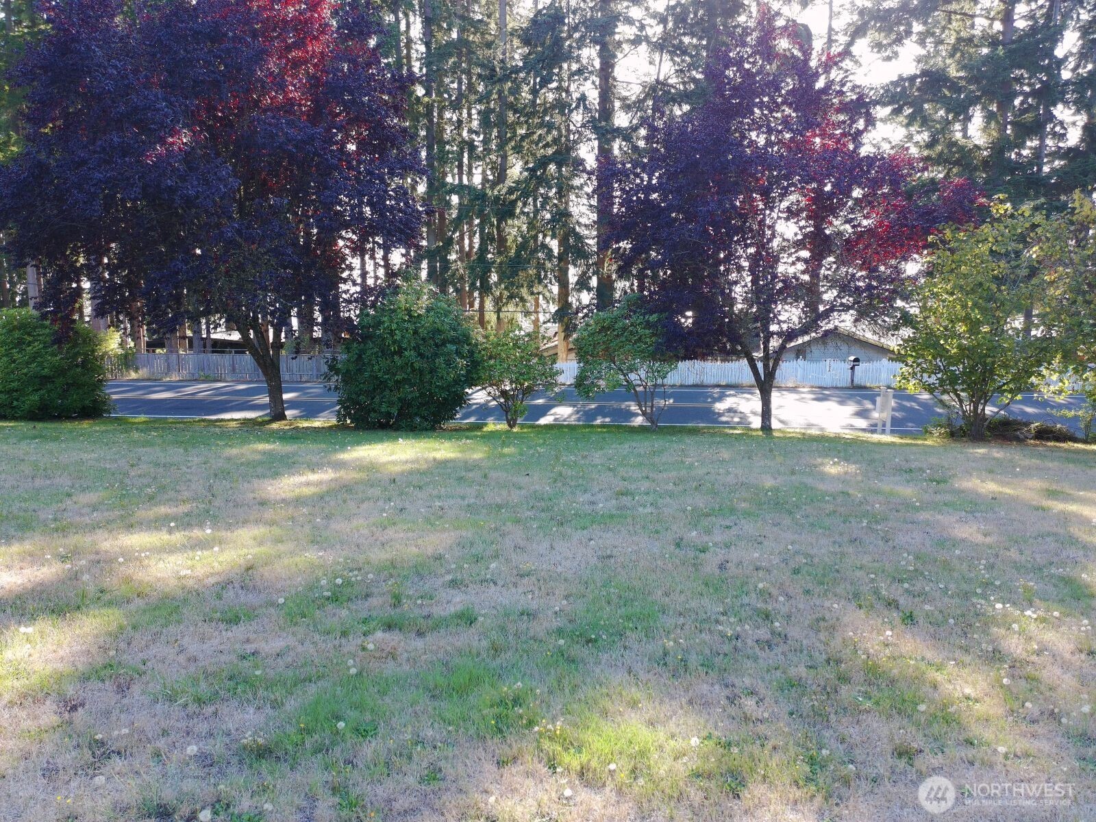 0 Robinswood Lane Property Photo 10