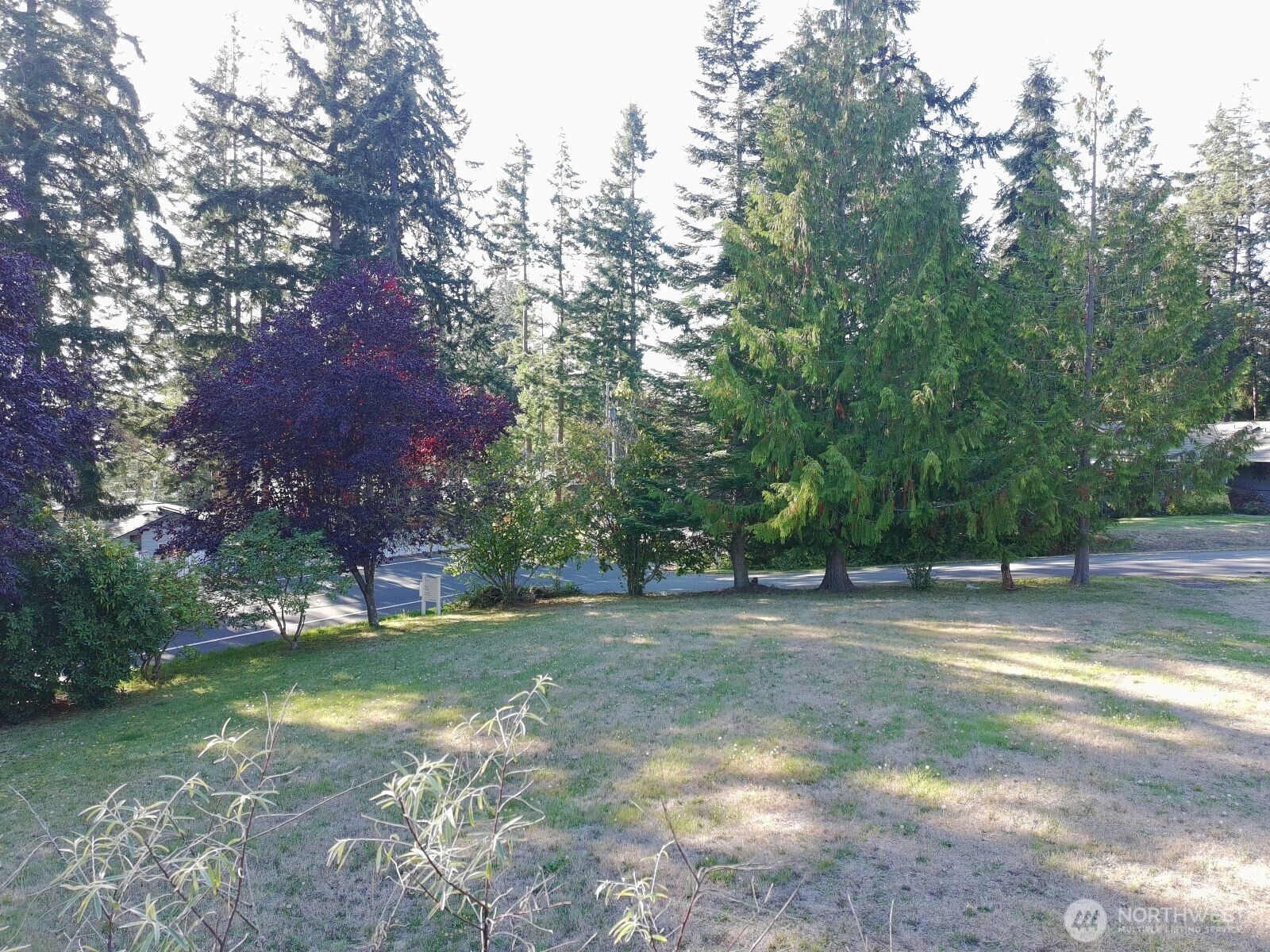 0 Robinswood Lane Property Photo 11