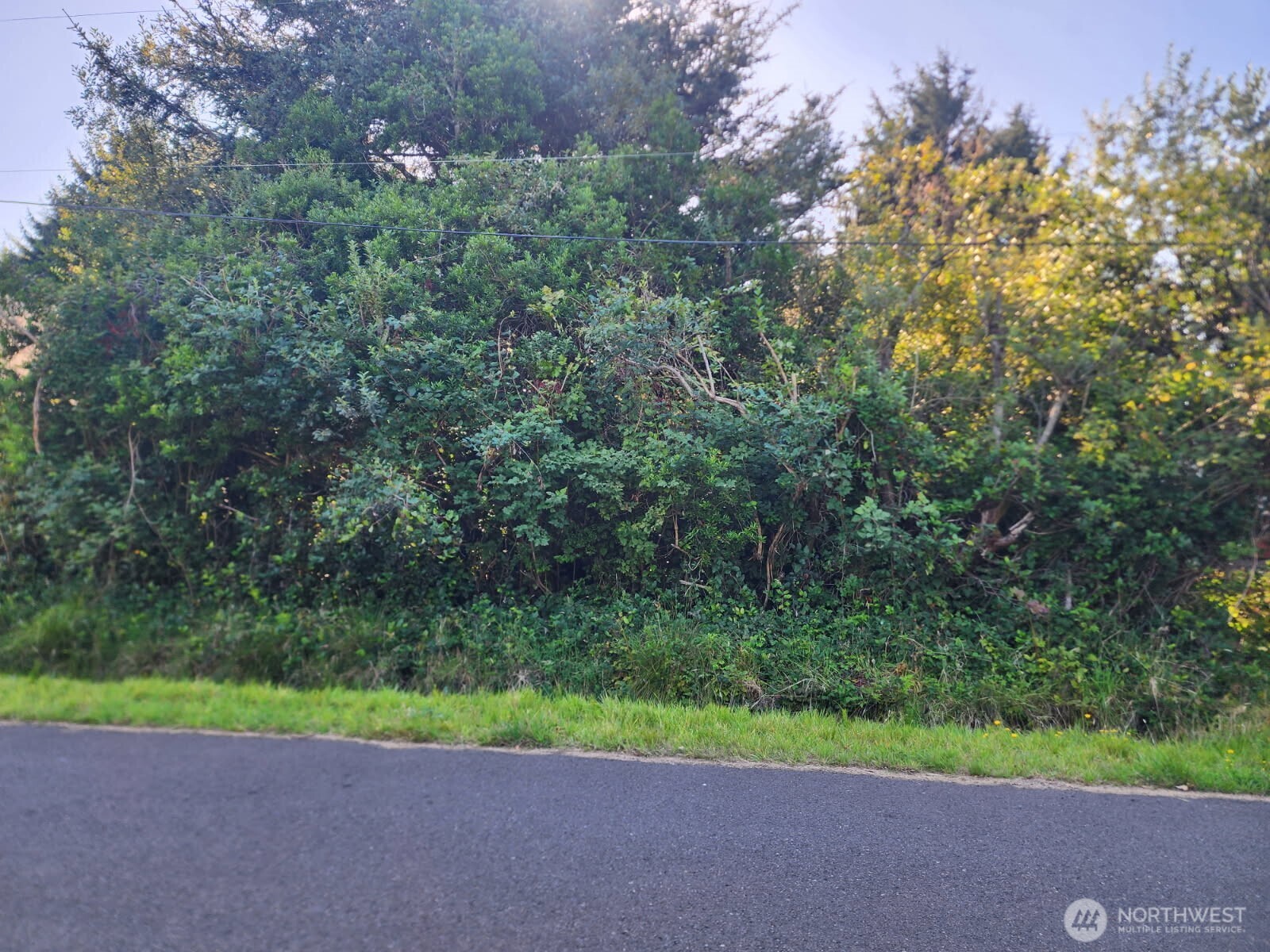 307 Centaurus Avenue Property Photo 1