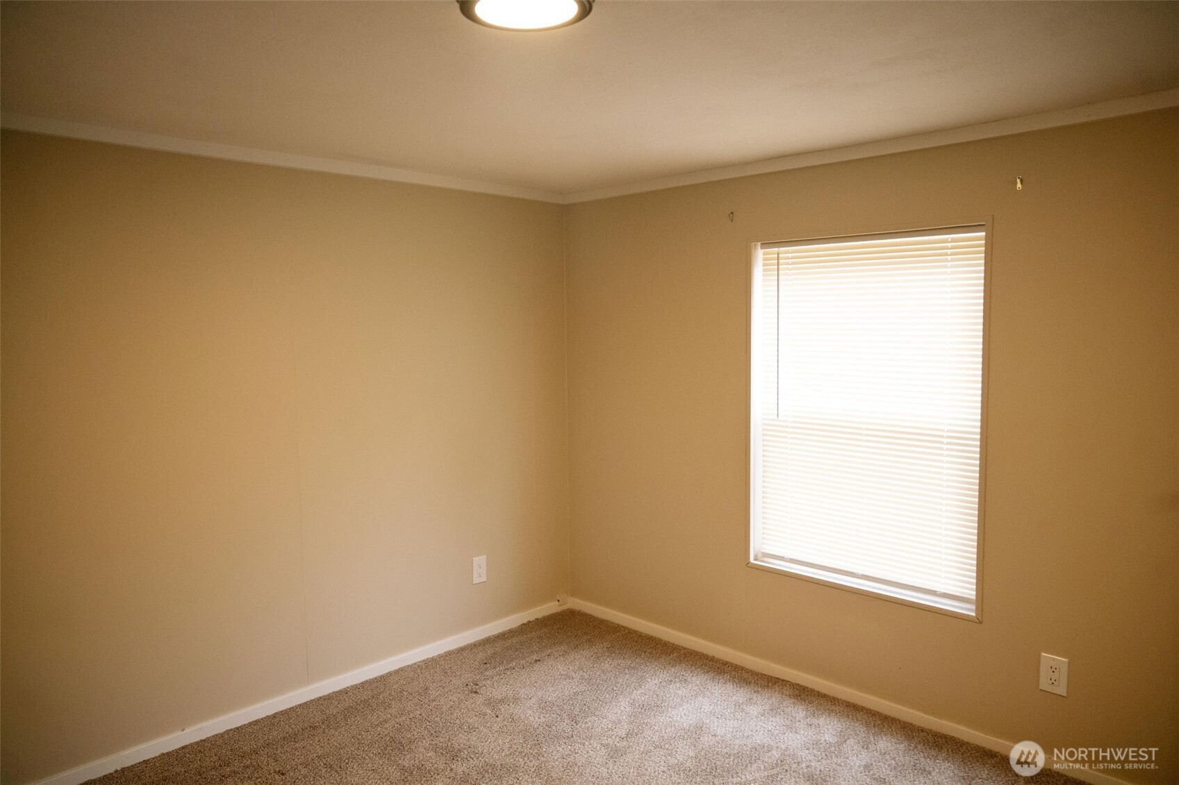 11407 Scott Creek Drive Property Photo 15