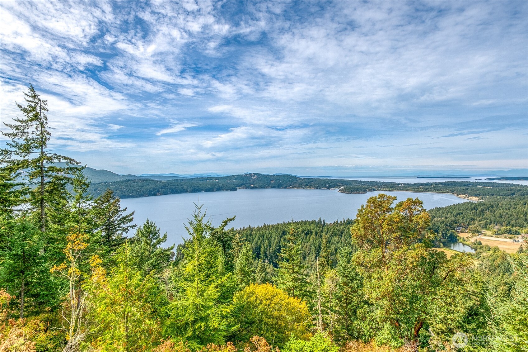 237 Switchback Road Property Photo 4