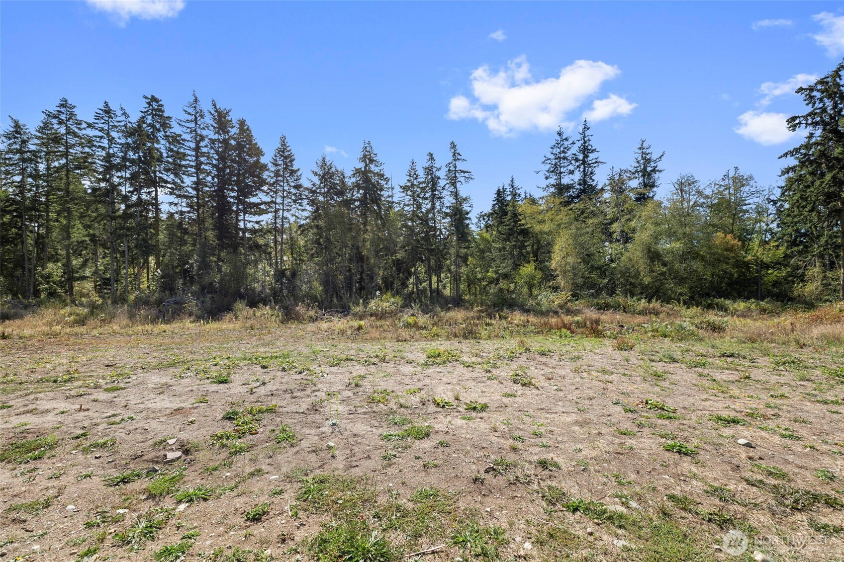 3399 Wilson Road Property Photo 27