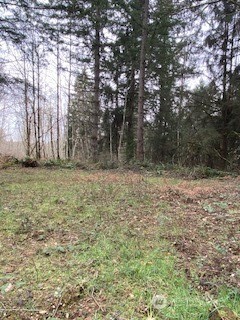252 Xx Se Green Valley Rd Property Photo 8