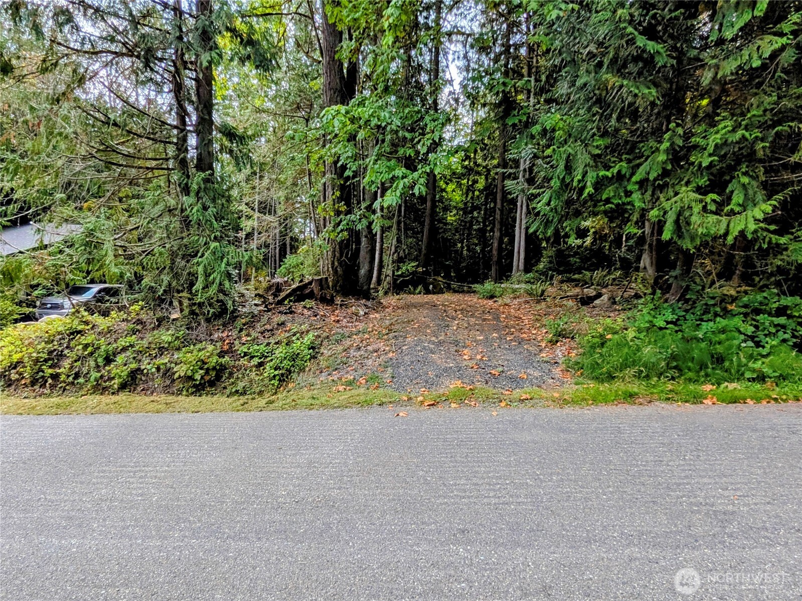 124 Goliah Lane Property Photo 1