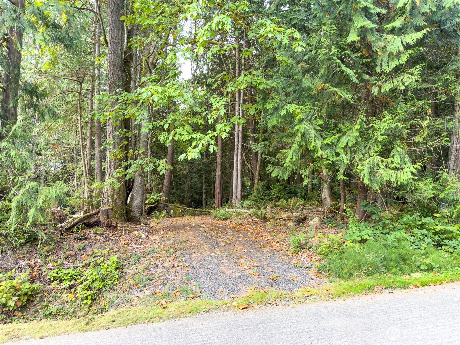 124 Goliah Lane Property Photo 3