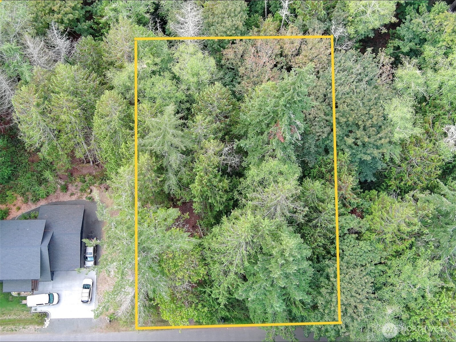 124 Goliah Lane Property Photo 5