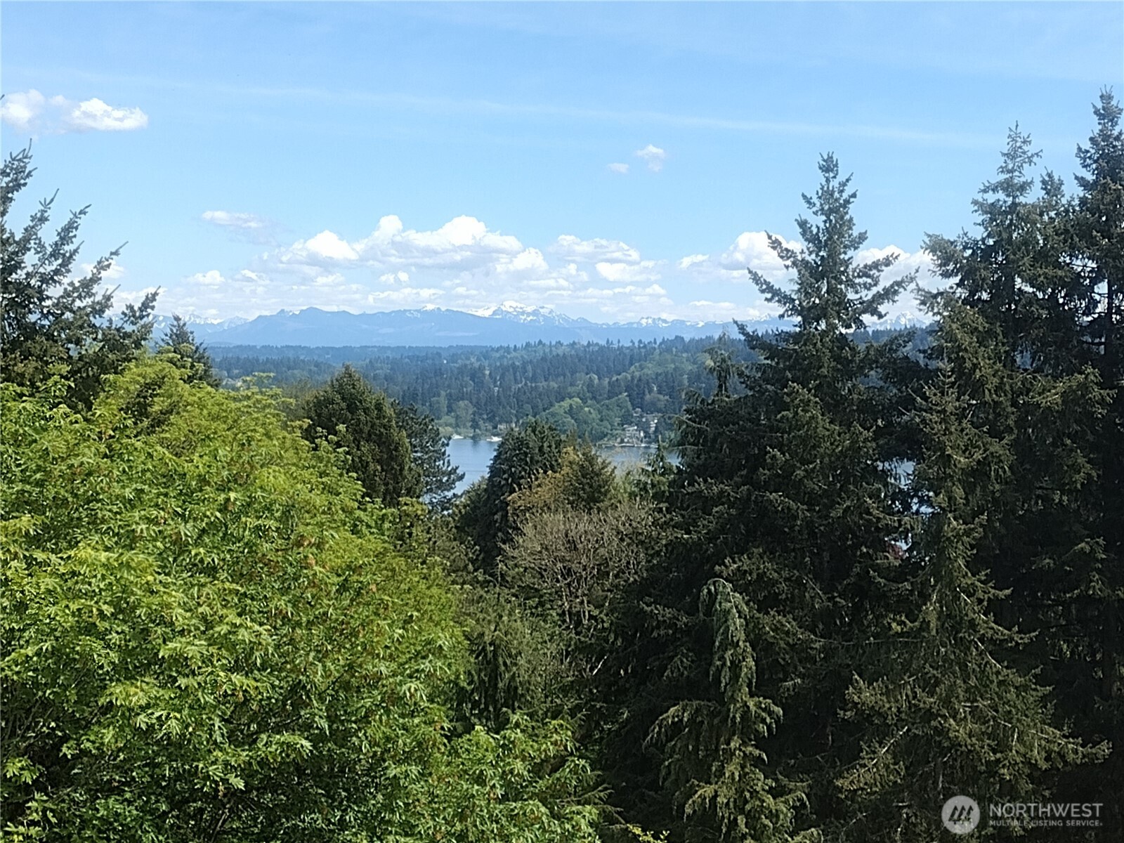 16328 35th Avenue Property Photo 1