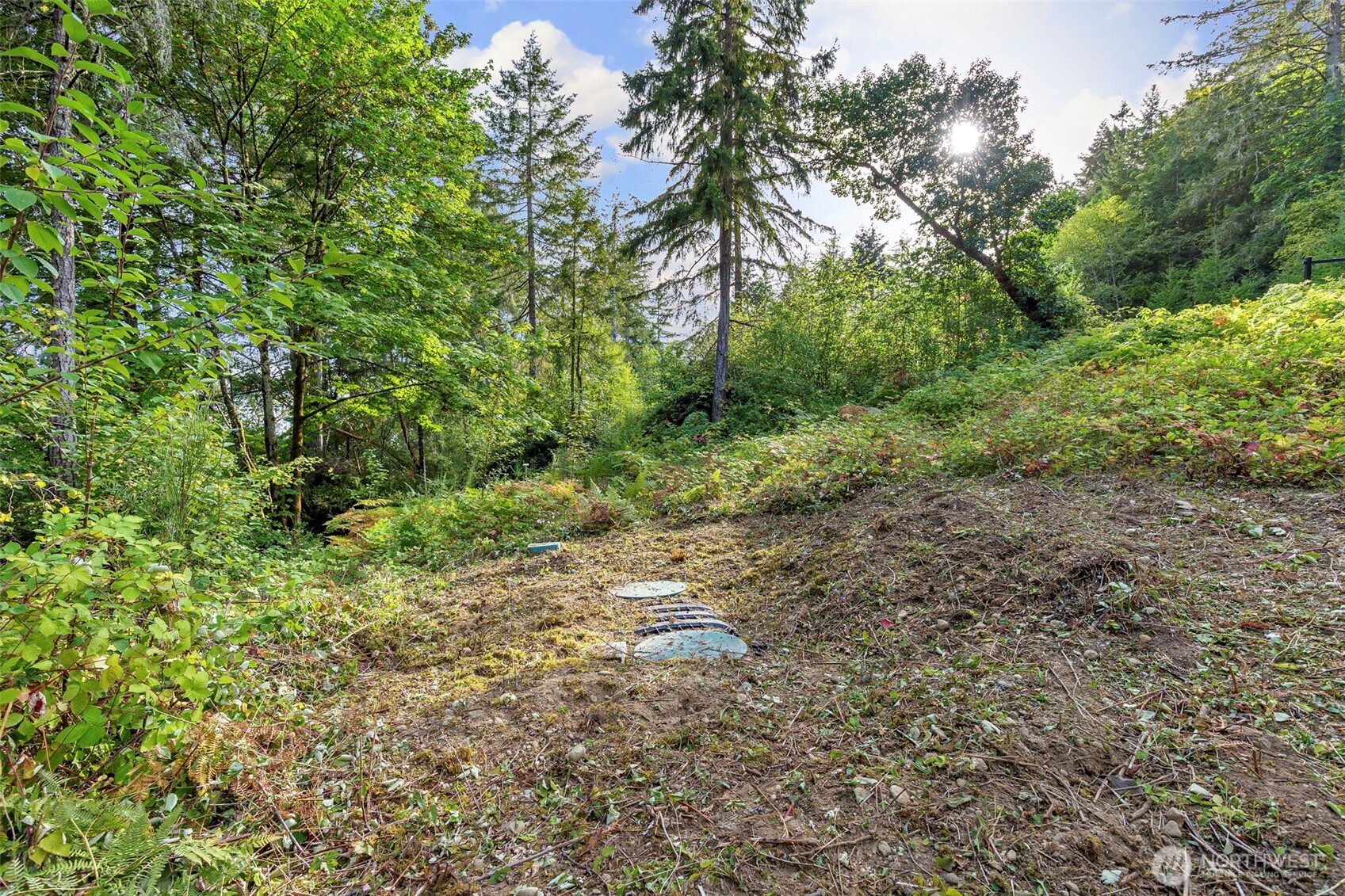 11515 189th Avenue Property Photo 5