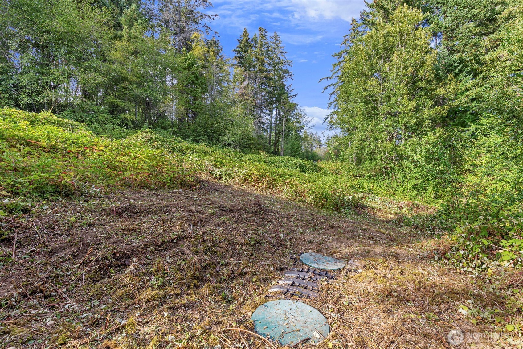 11515 189th Avenue Property Photo 6