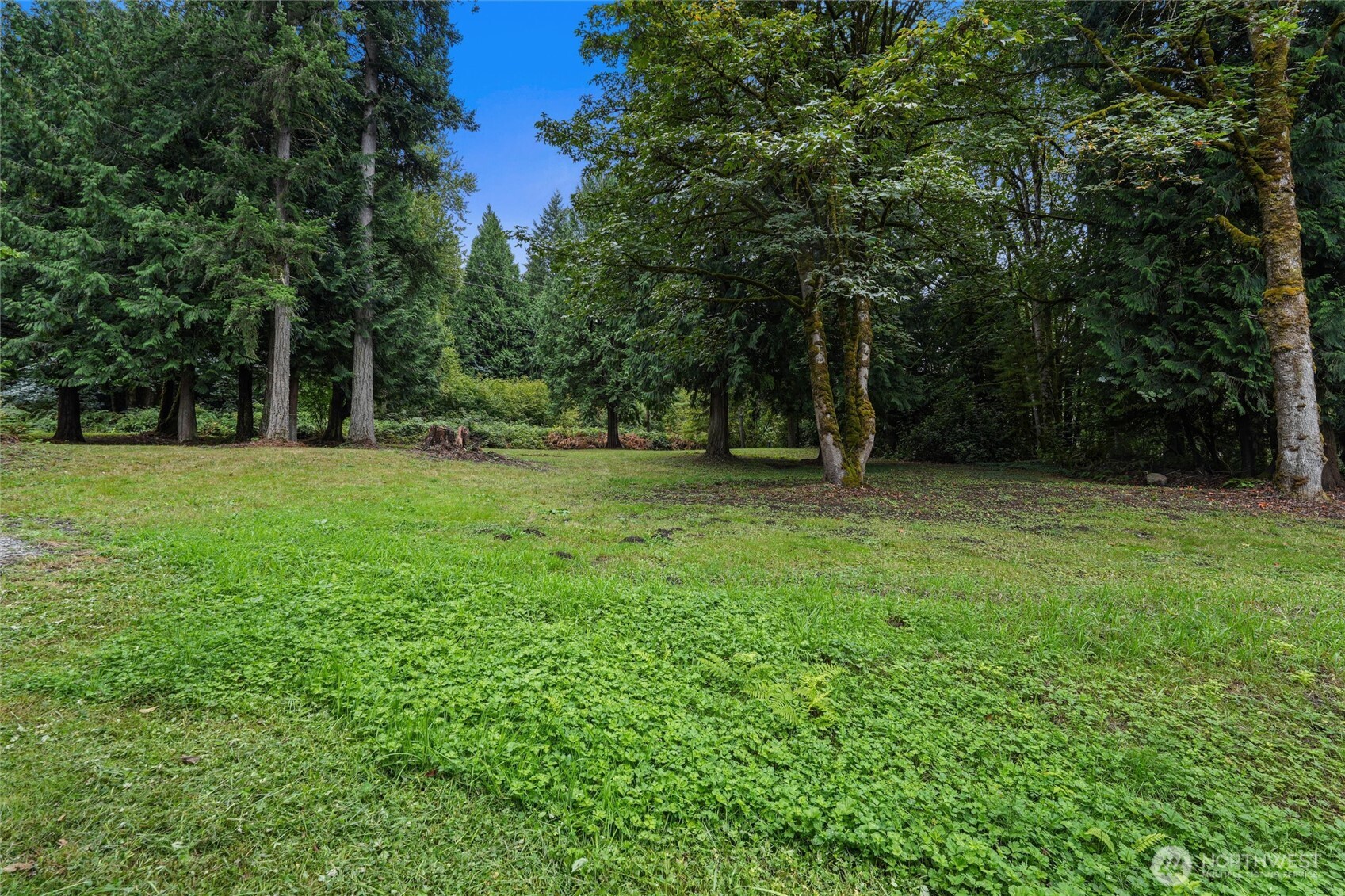 11912 171st Place Property Photo 1