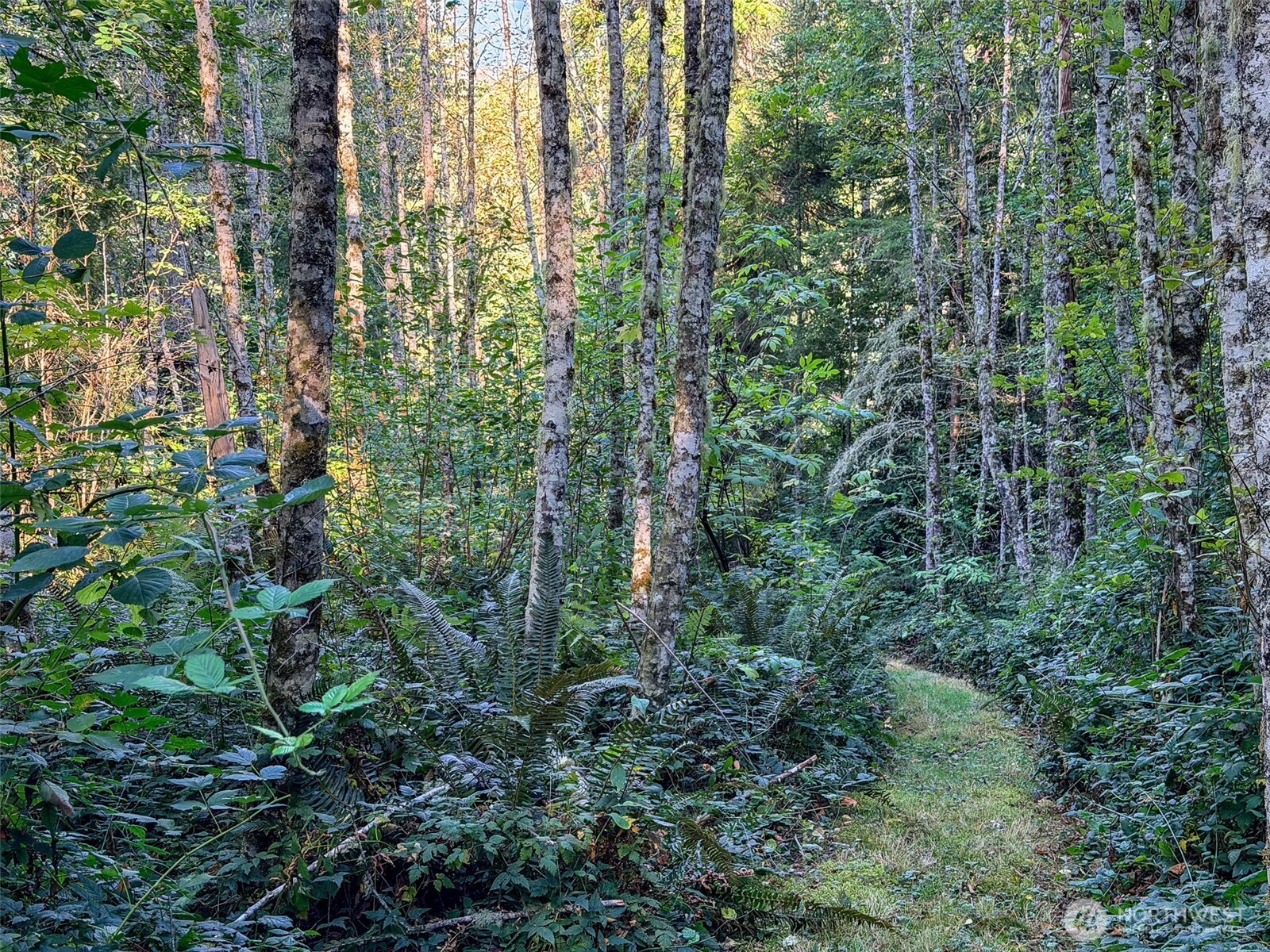 72 X Leland Valley Road Property Photo 8