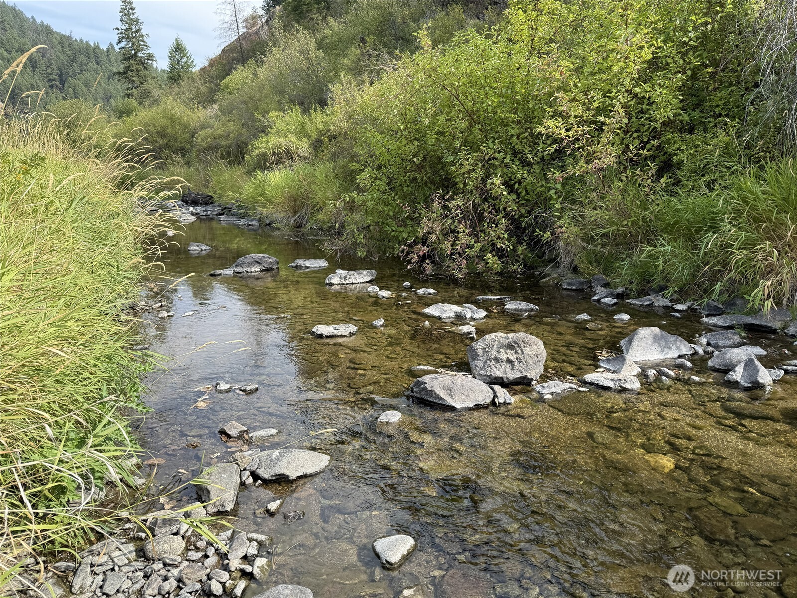 15316 Highway 21 Property Photo 4