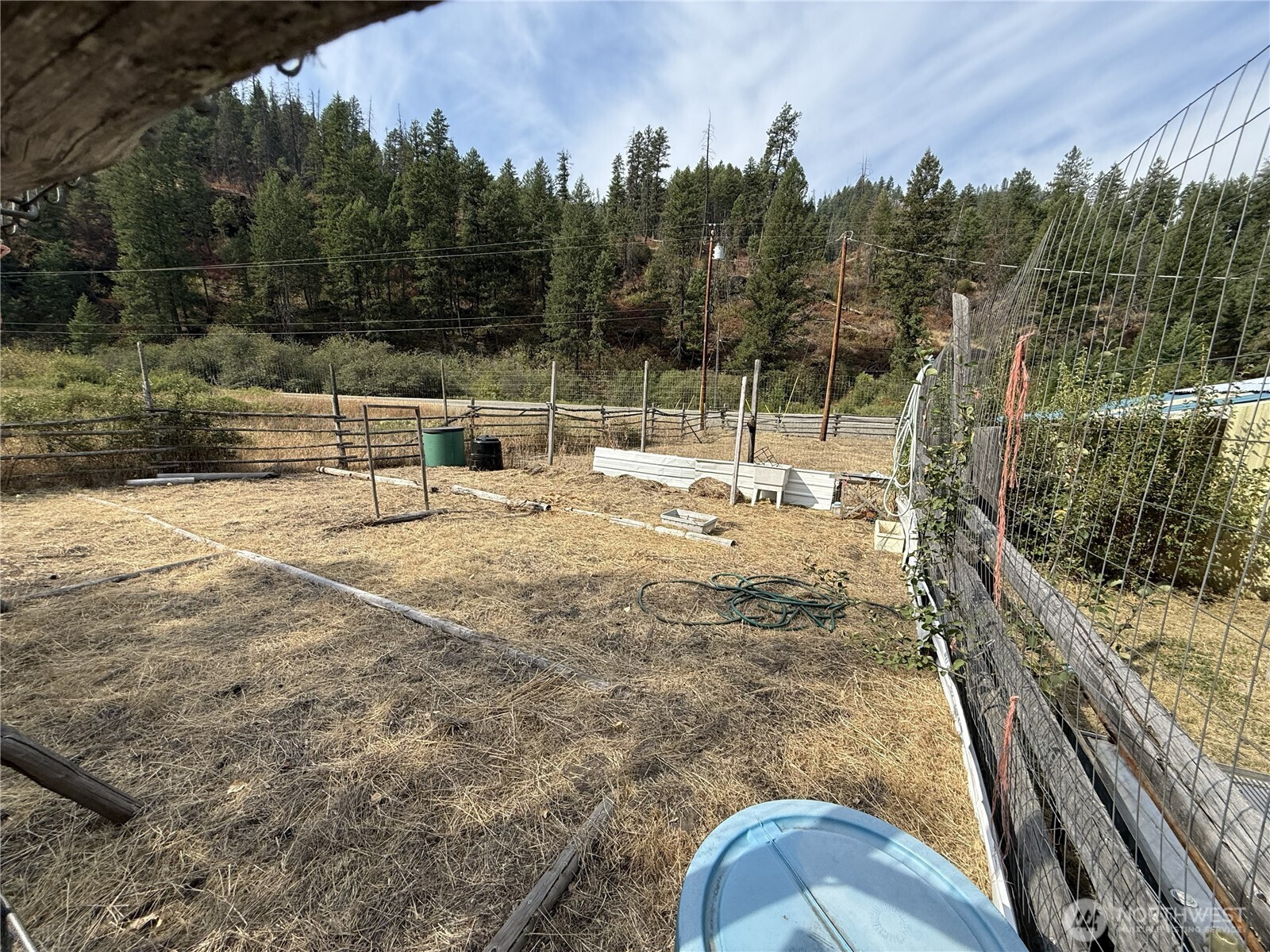 15316 Highway 21 Property Photo 22