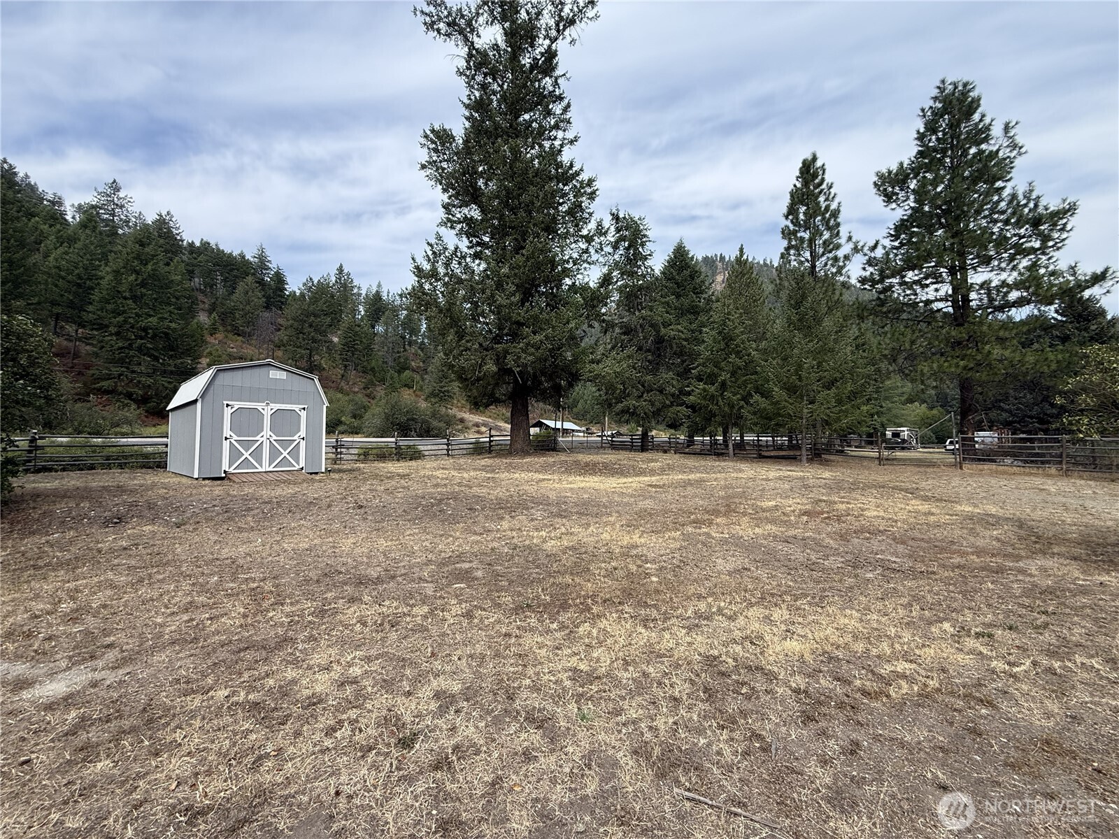 15316 Highway 21 Property Photo 23