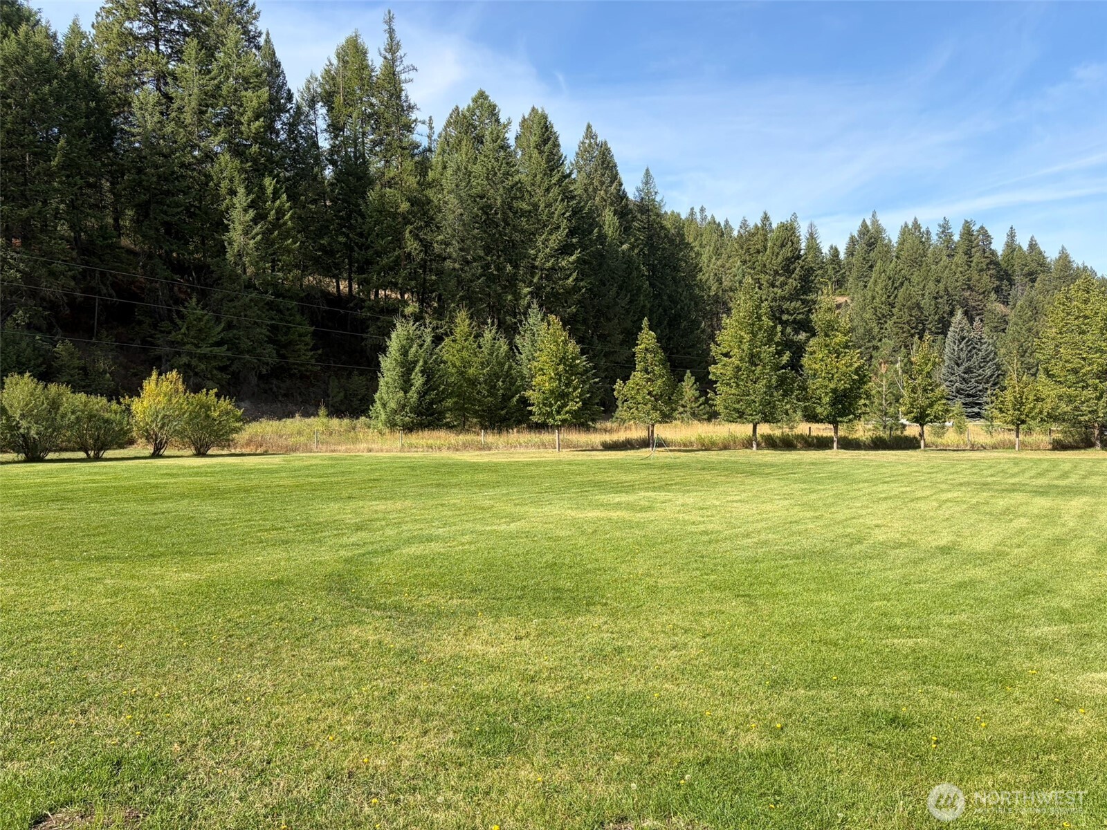 255 Lambert Creek Road Property Photo 24