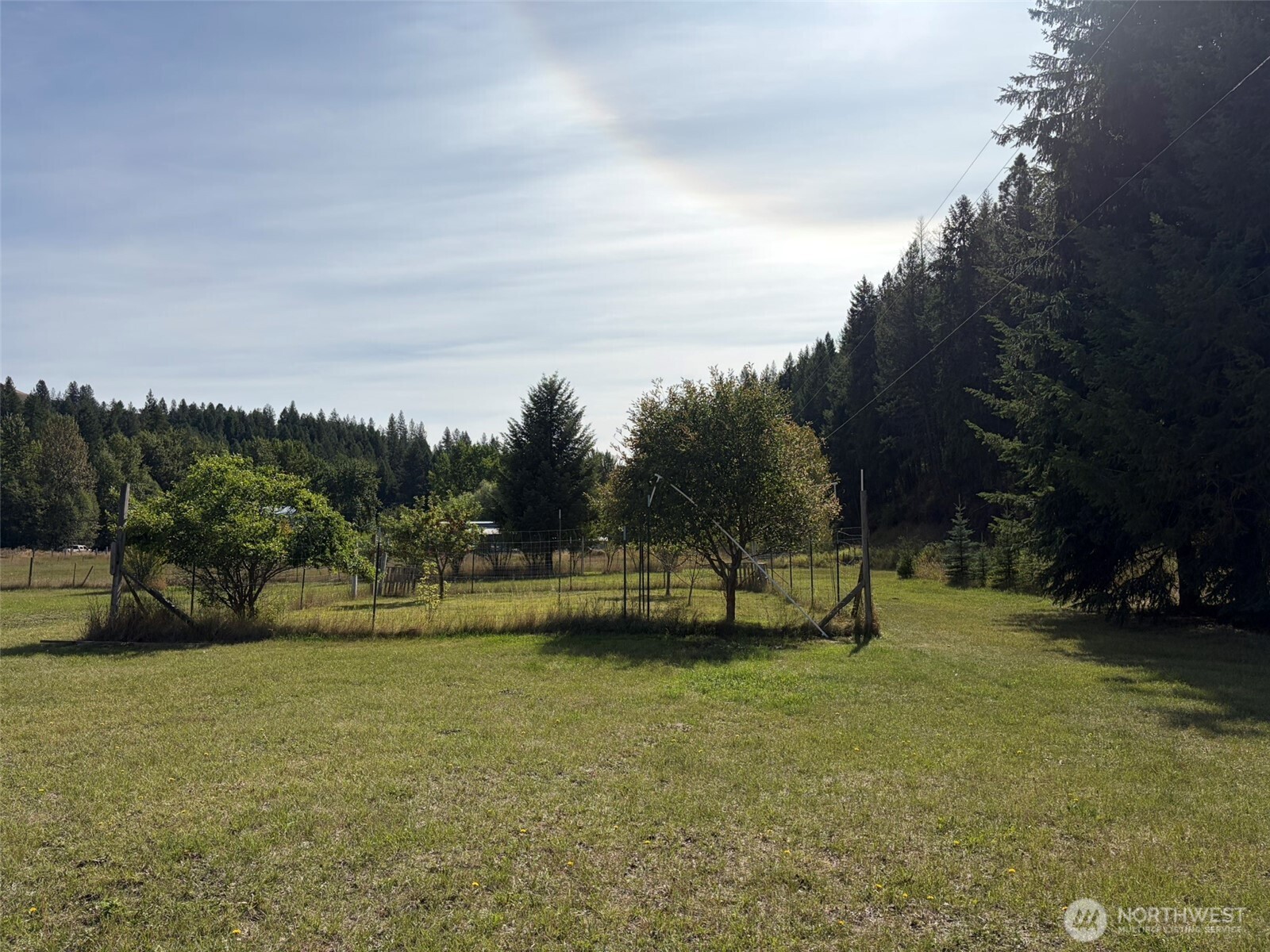 255 Lambert Creek Road Property Photo 30