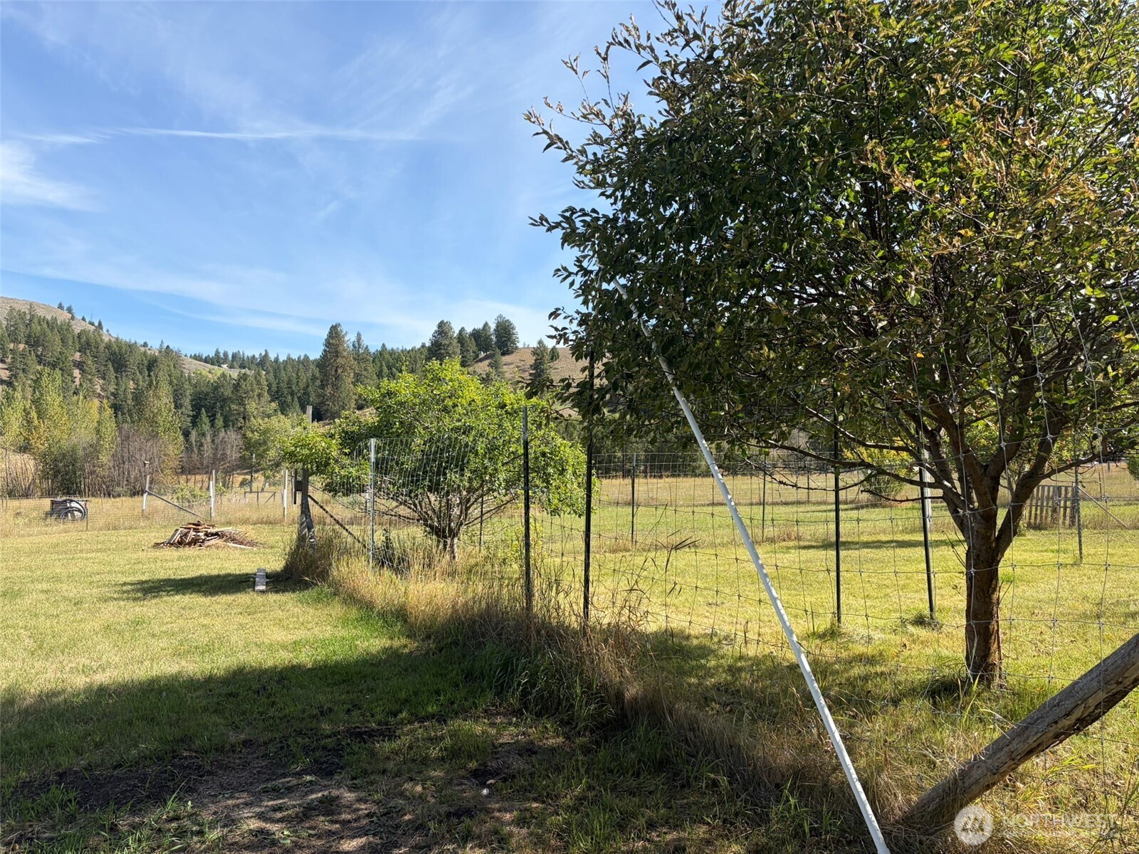 255 Lambert Creek Road Property Photo 33