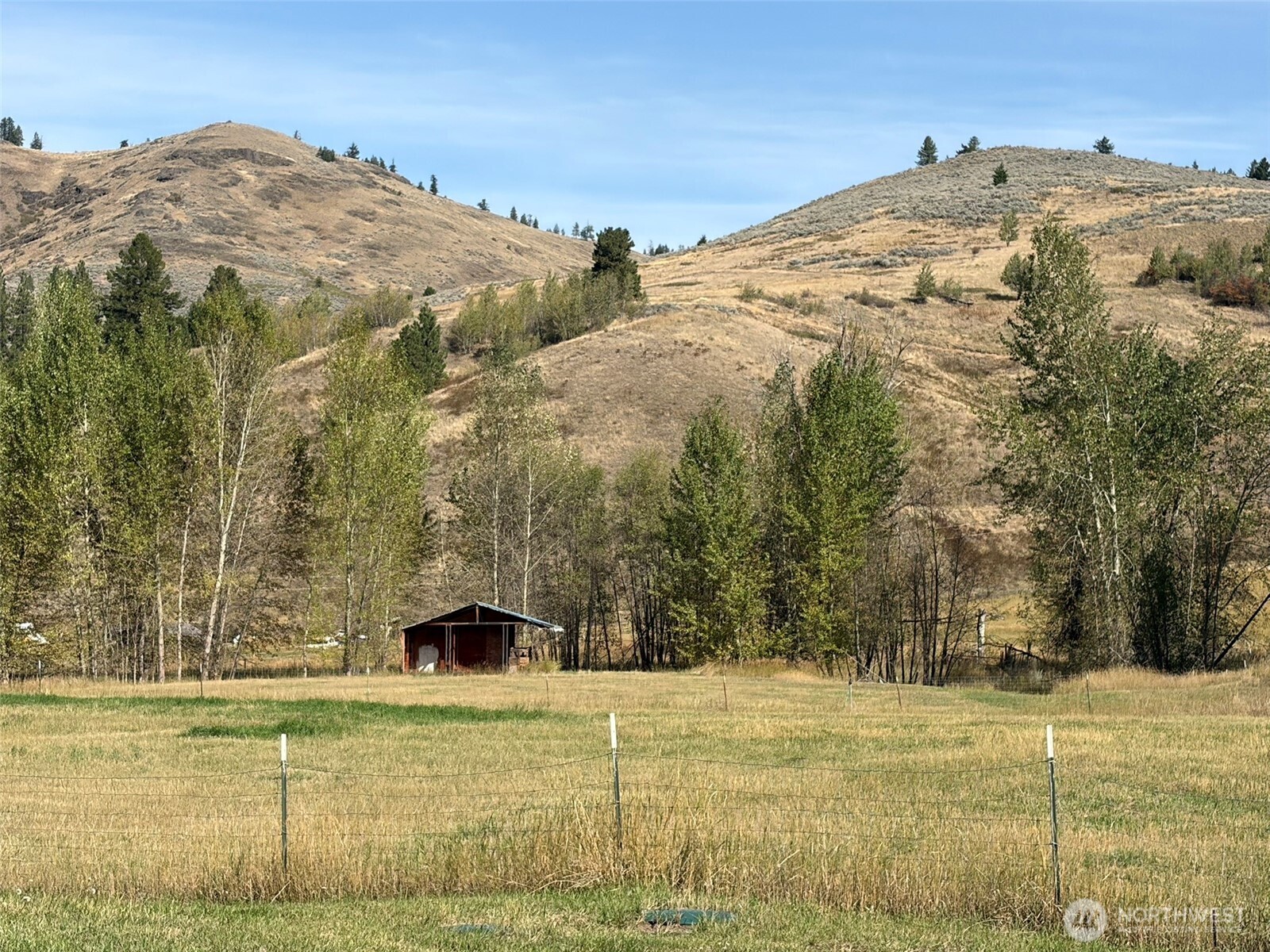 255 Lambert Creek Road Property Photo 36