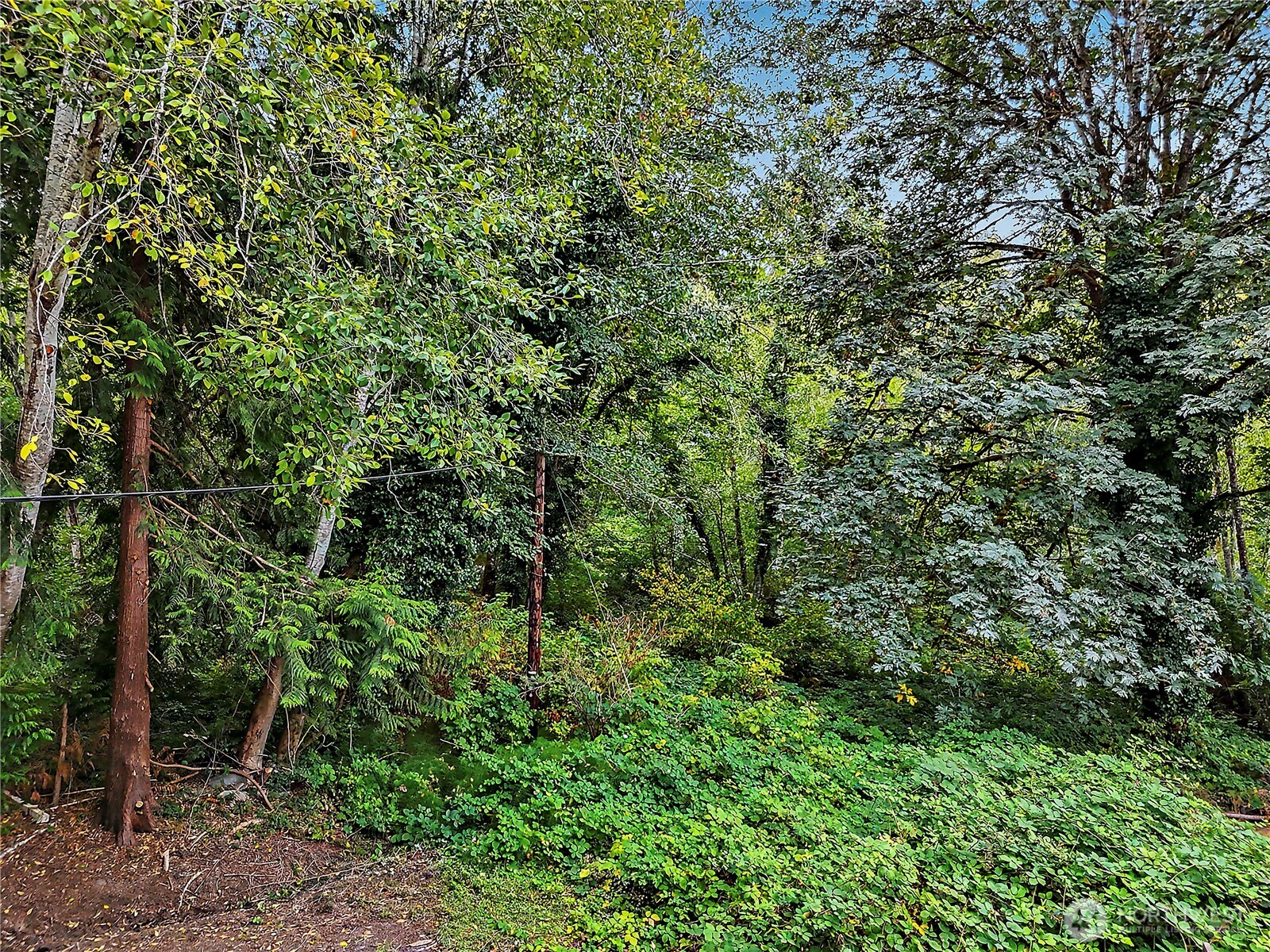 6801 6807 80th Avenue Property Photo 2