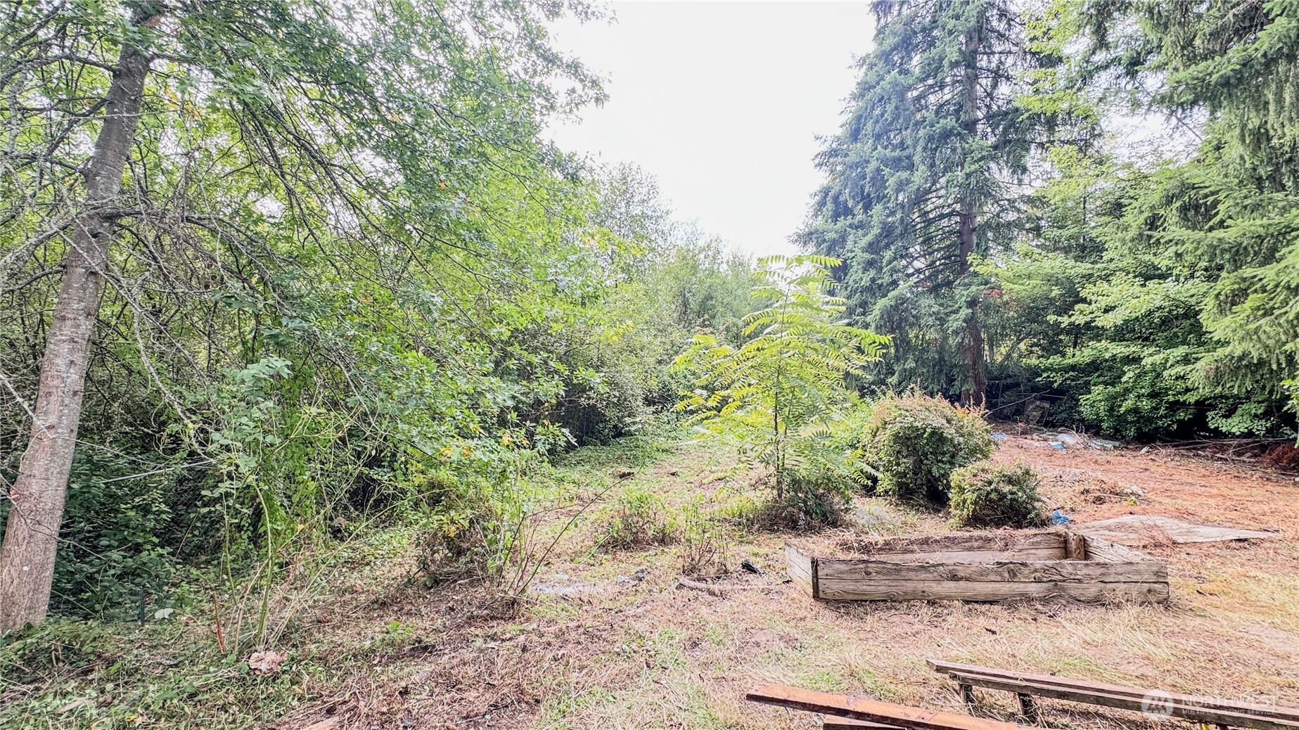 19617 Ne 156 Place Property Photo 14