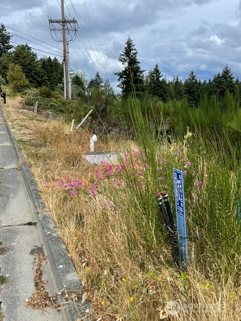 0 Sound Ridge Drive Property Photo 2