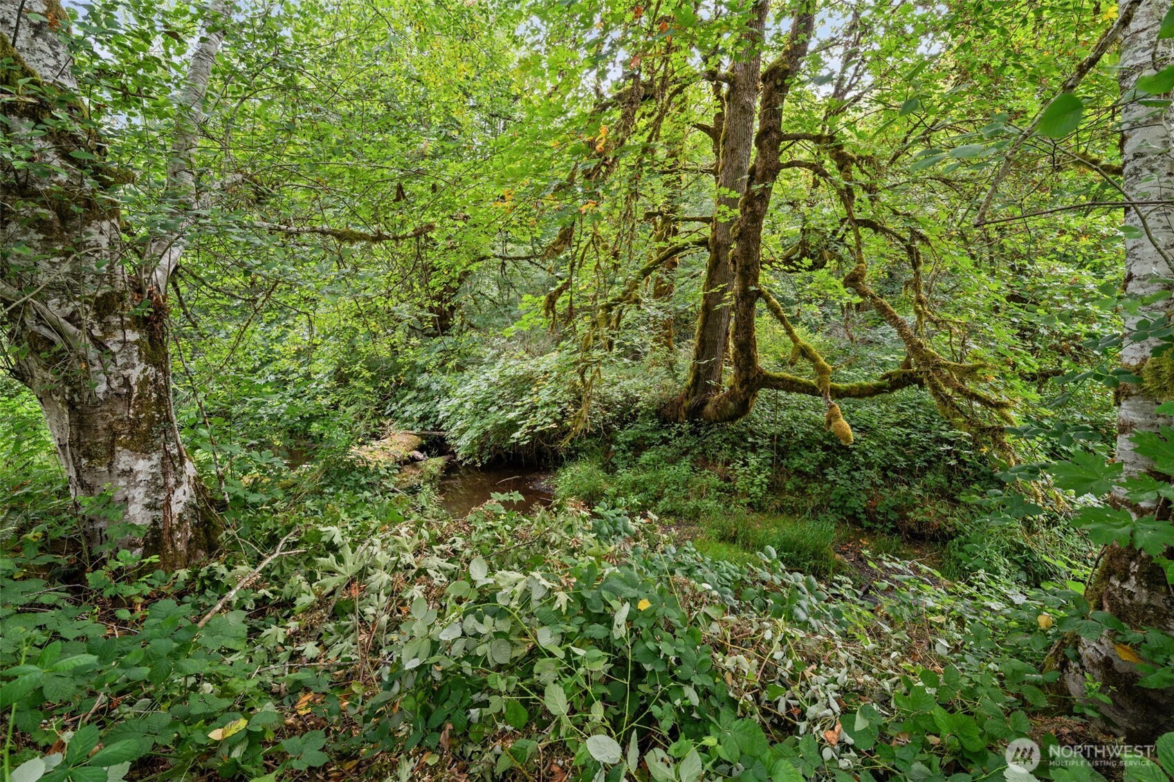11199 W Belfair Valley Road Property Photo 26