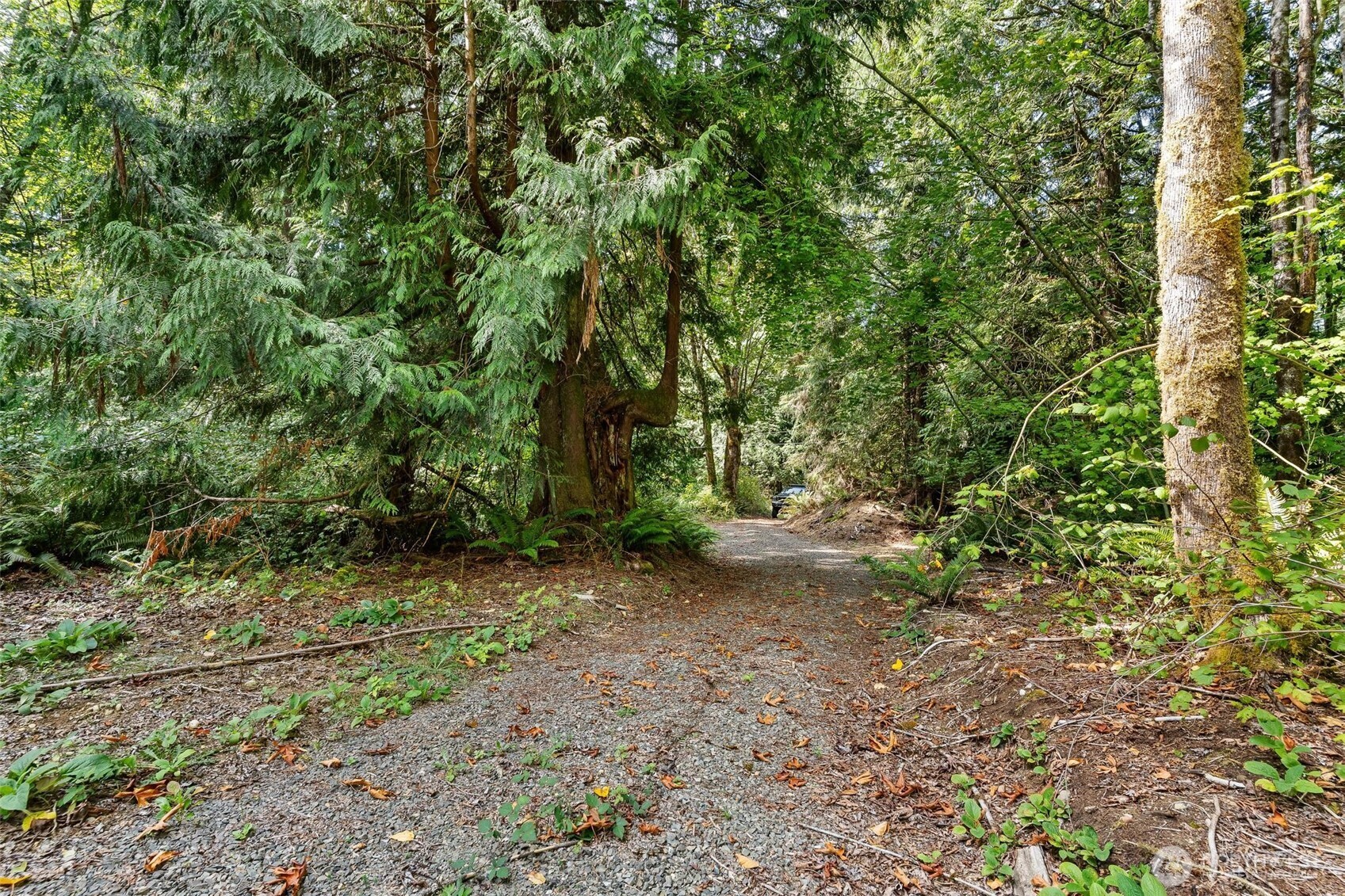 0 Lot 6 N High Rock Road Property Photo 4