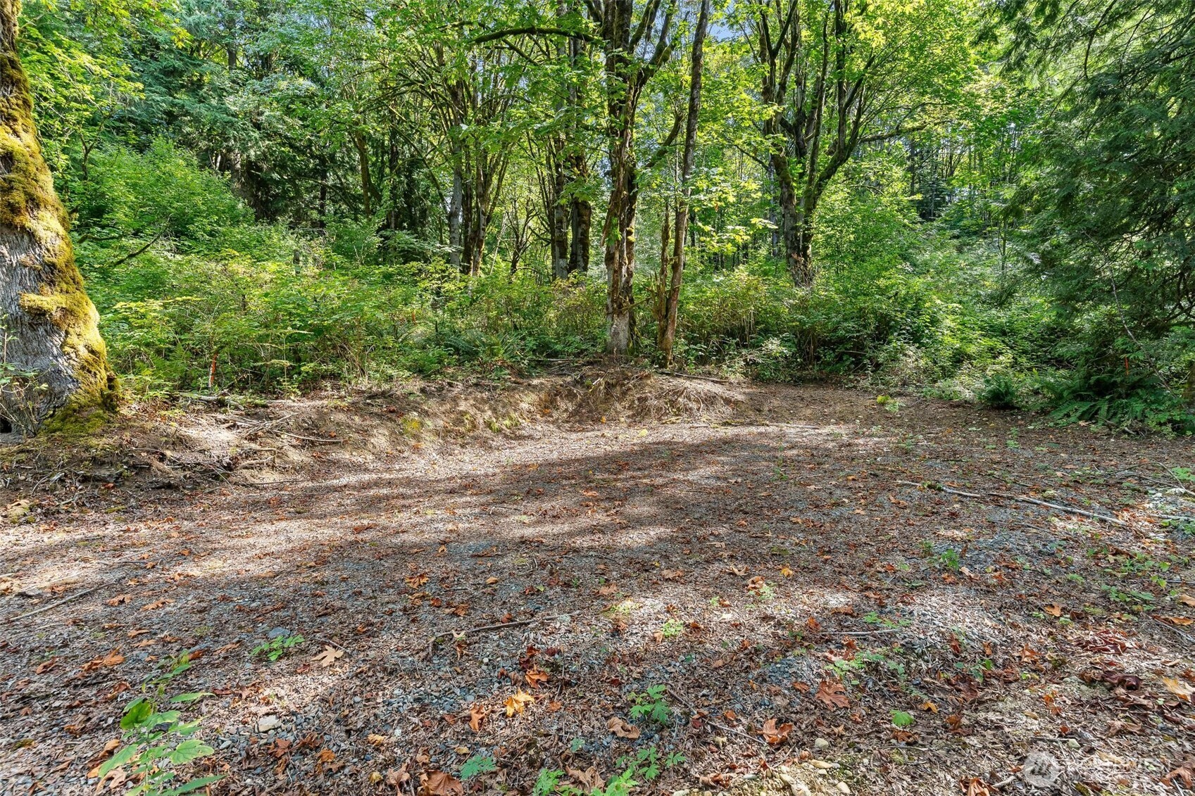 0 Lot 6 N High Rock Road Property Photo 6