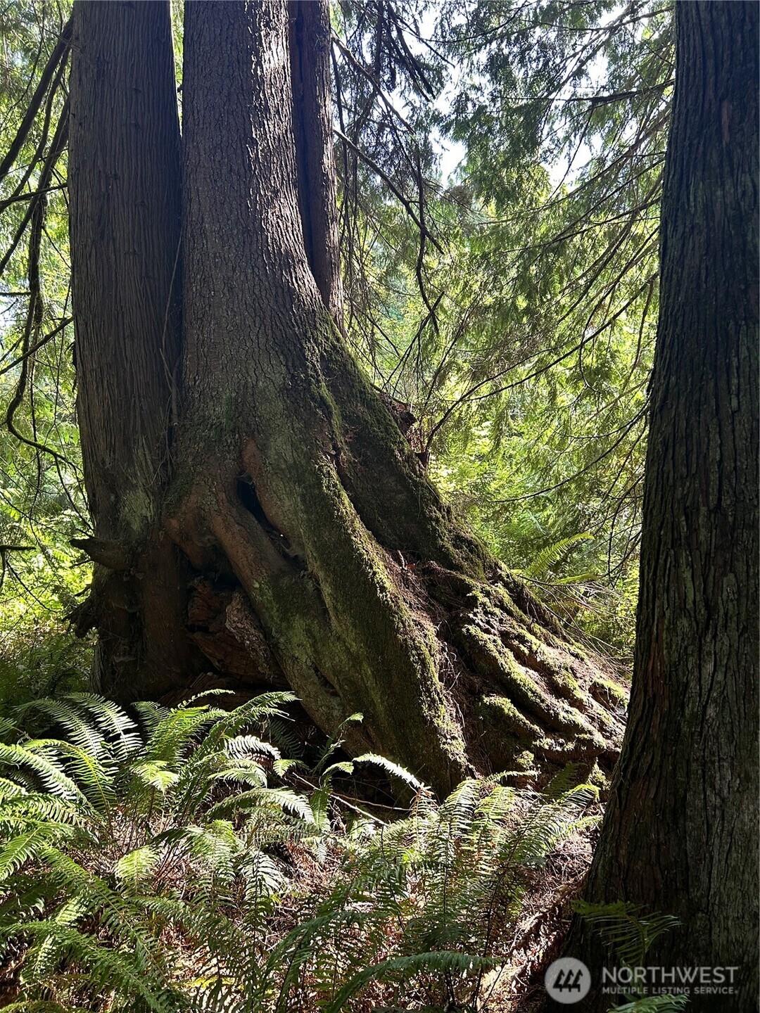0 Lot 6 N High Rock Road Property Photo 9