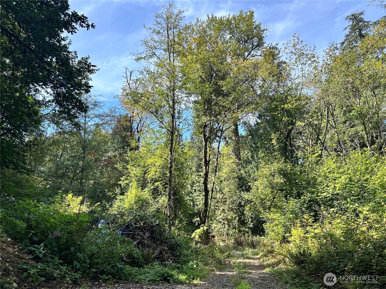 0 Lot 6 N High Rock Road Property Photo 10