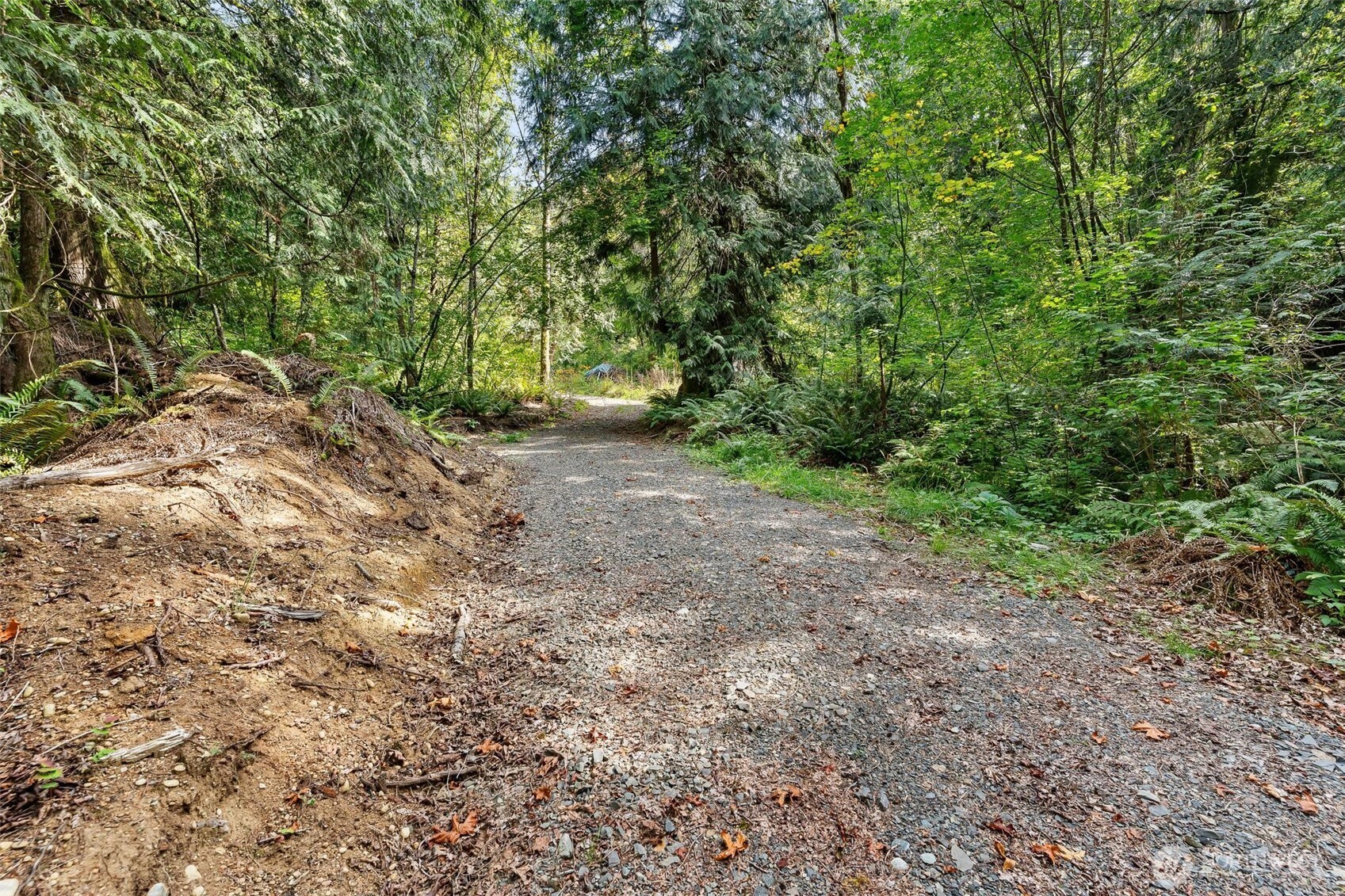 0 Lot 6 N High Rock Road Property Photo 11
