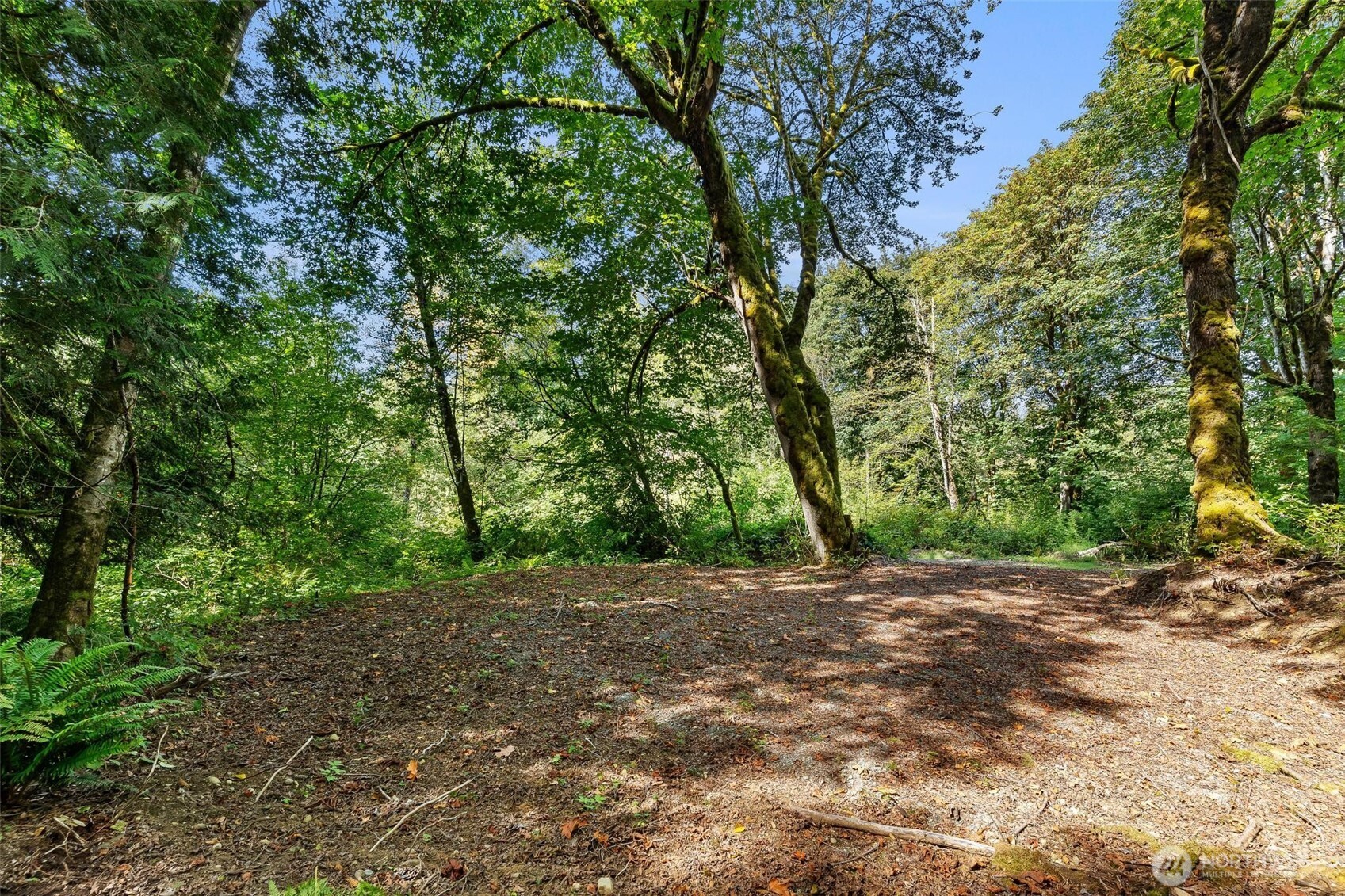 0 Lot 6 N High Rock Road Property Photo 13