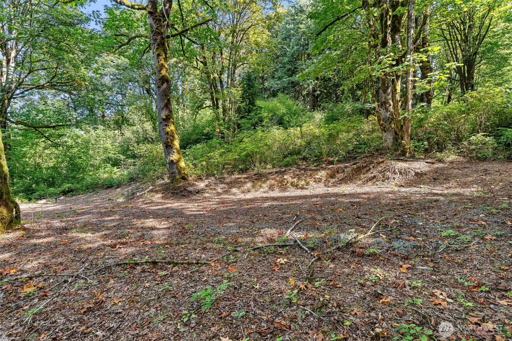 0 Lot 6 N High Rock Road Property Photo 14