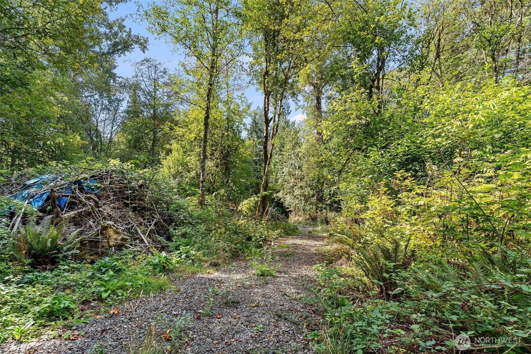 0 Lot 6 N High Rock Road Property Photo 16