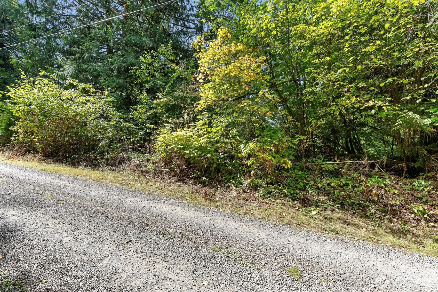 0 Lot 6 N High Rock Road Property Photo 21