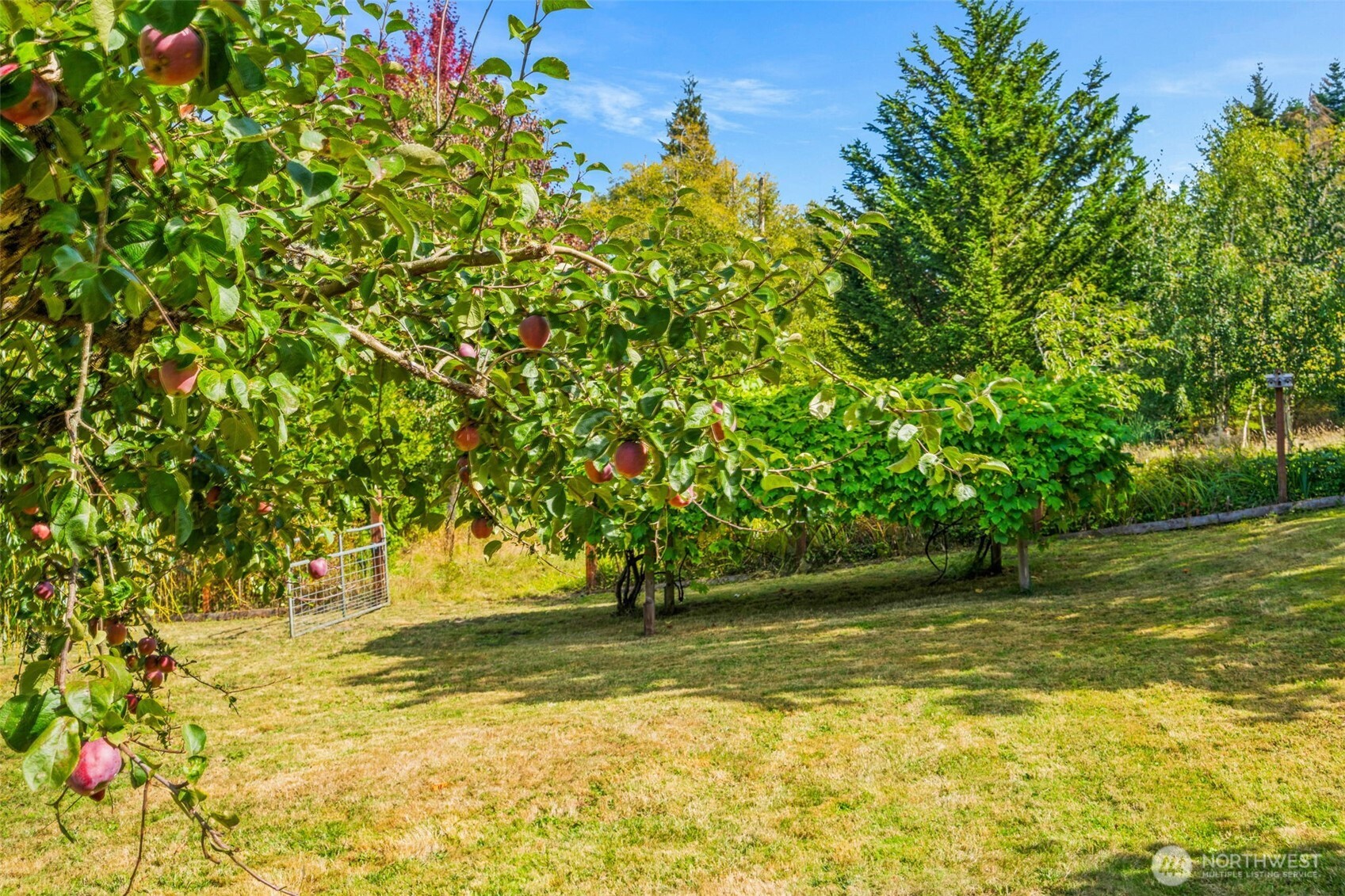 28753 View Drive Property Photo 34