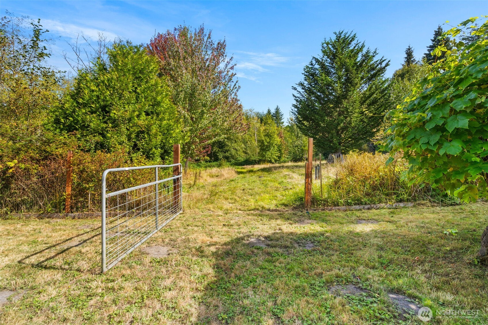 28753 View Drive Property Photo 36