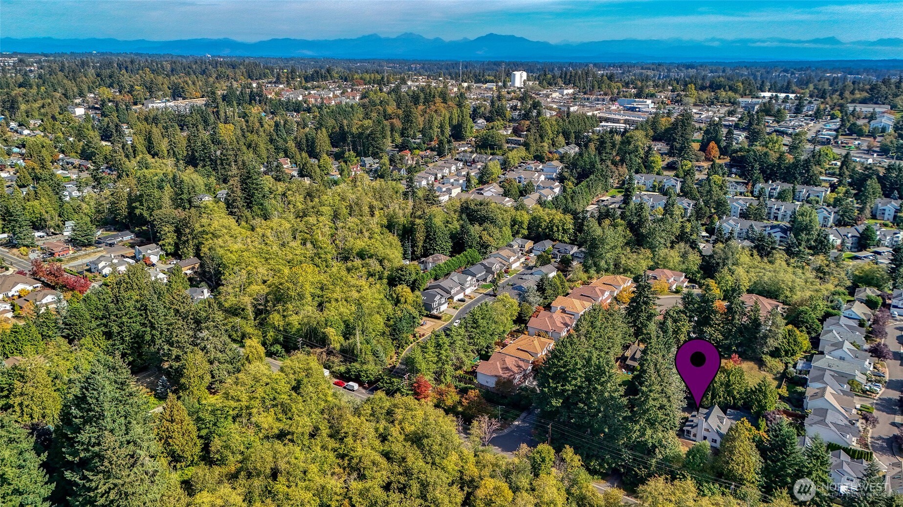 15907 48th Avenue Property Photo 28