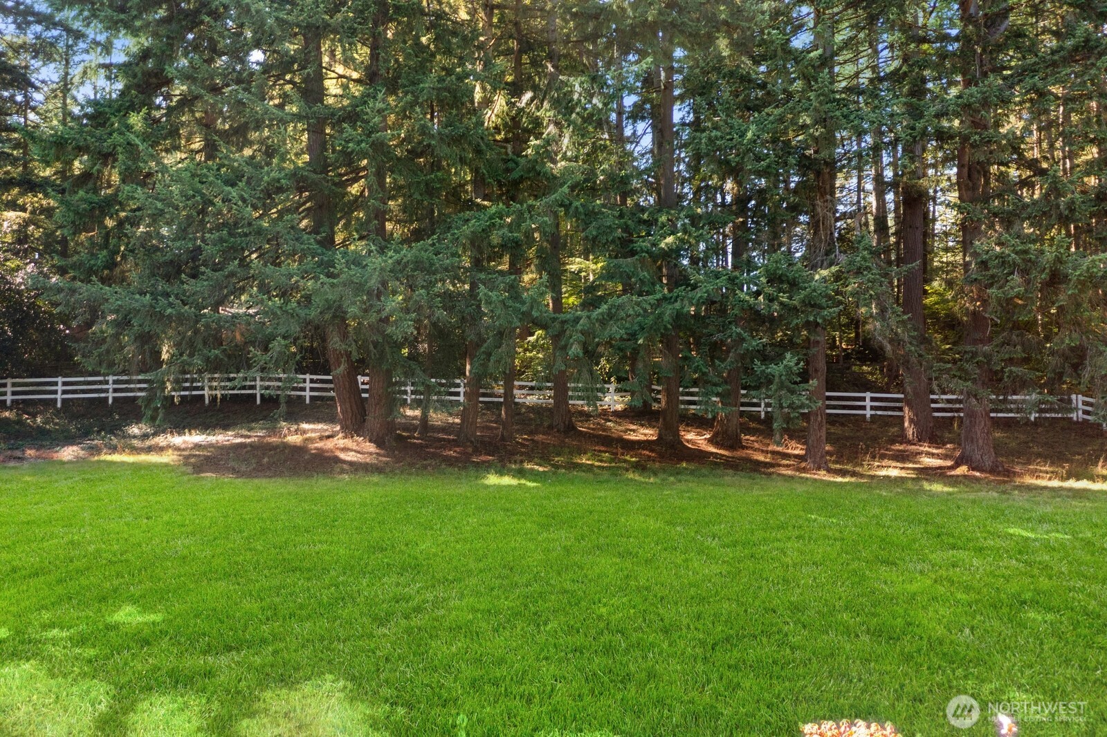 13605 Ne 48th Place Property Photo 36