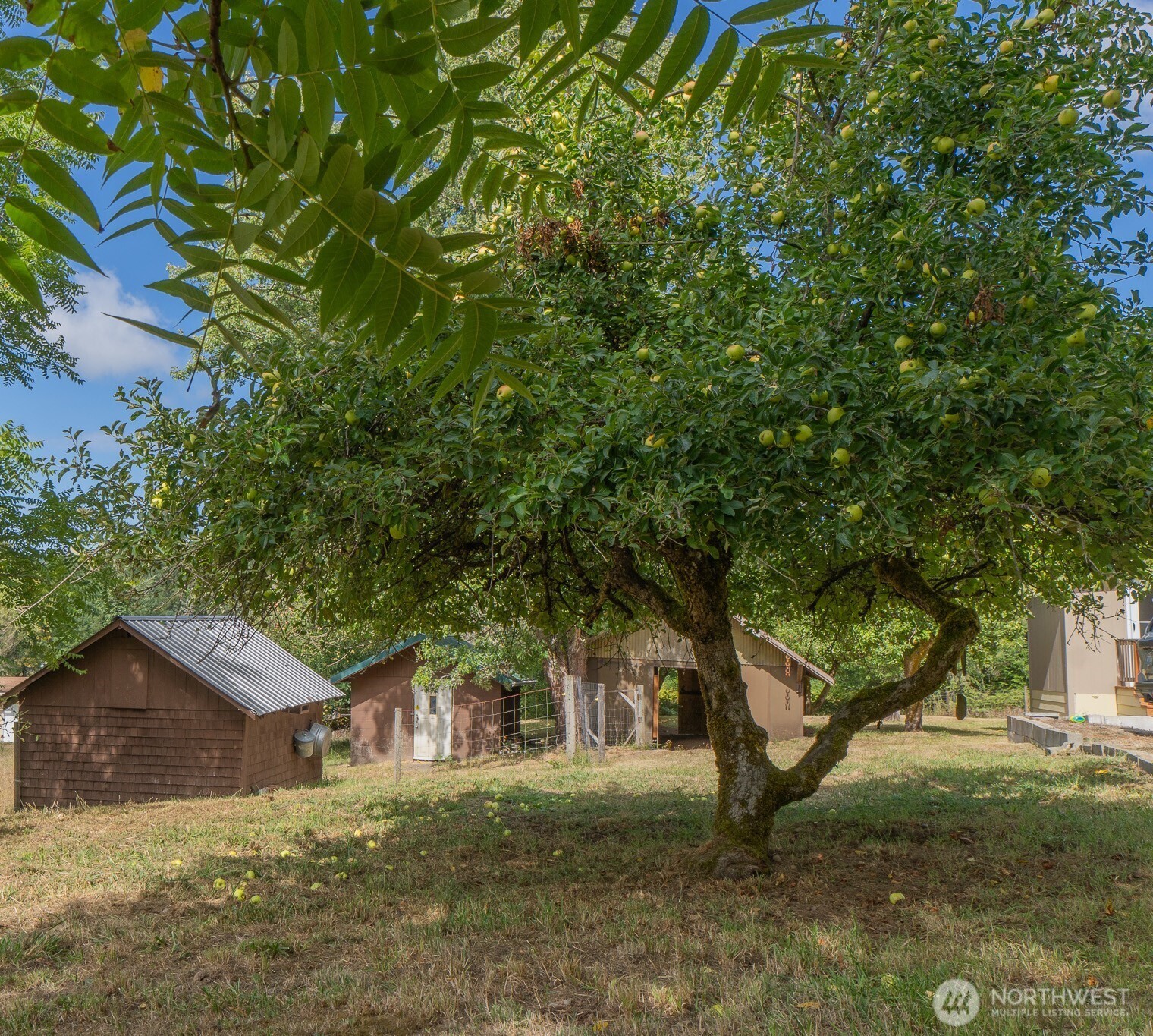 393 Manners Road Property Photo 15