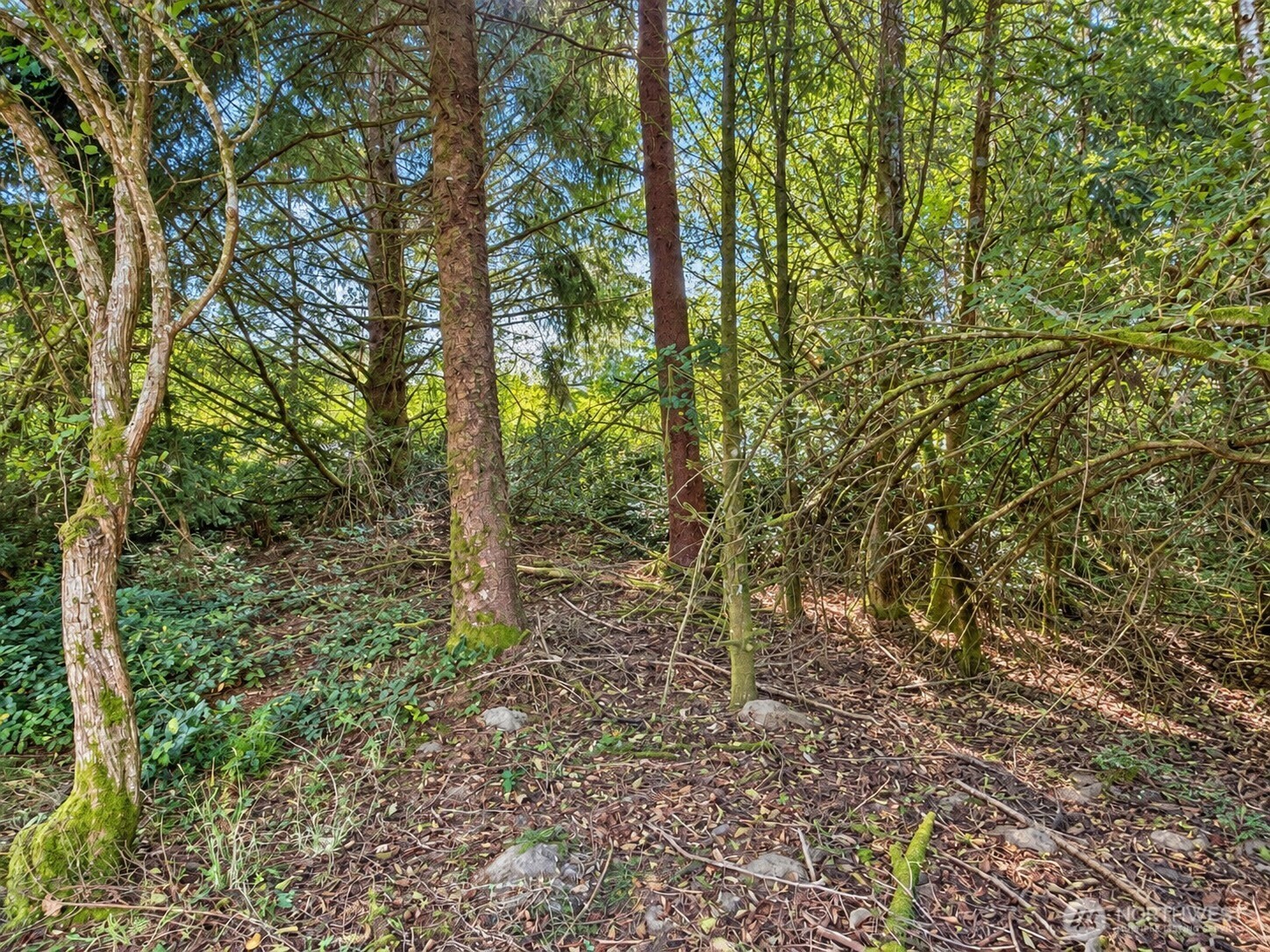 339 Redwood Court Property Photo 2