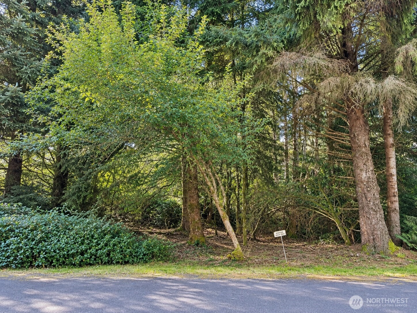 339 Redwood Court Property Photo 3