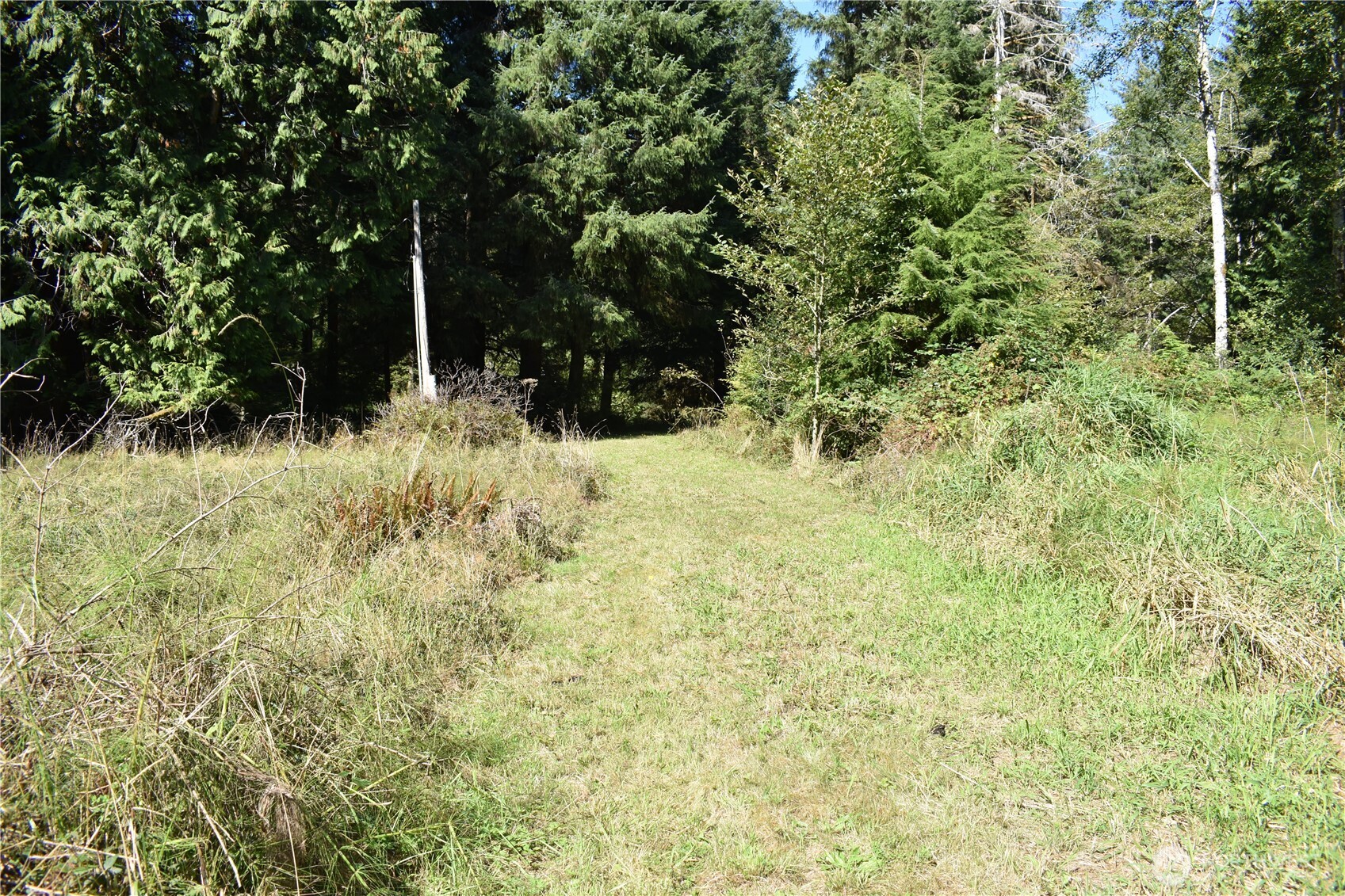 83 N Williams Creek Rd. Property Photo 5