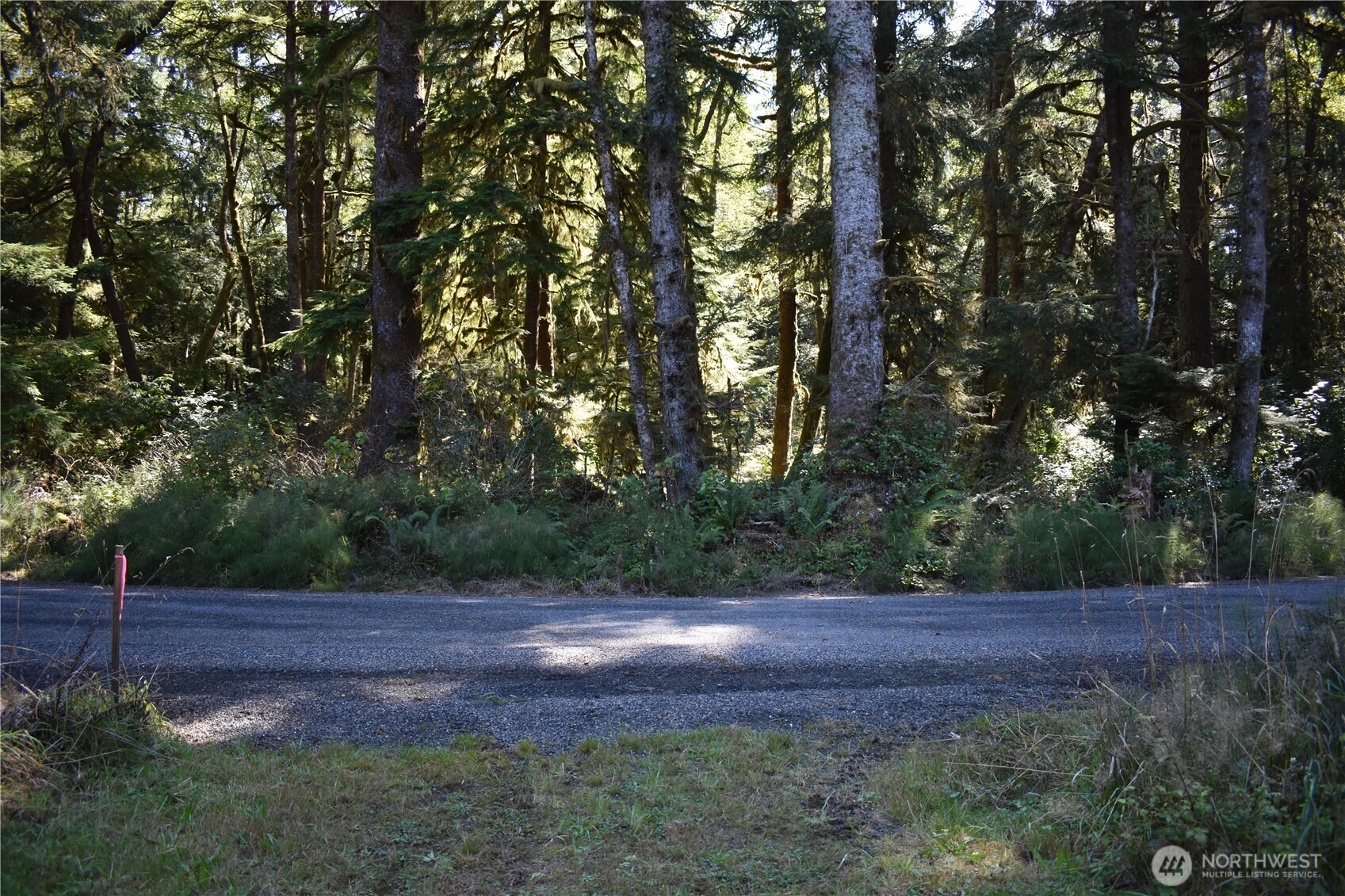 83 N Williams Creek Rd. Property Photo 7