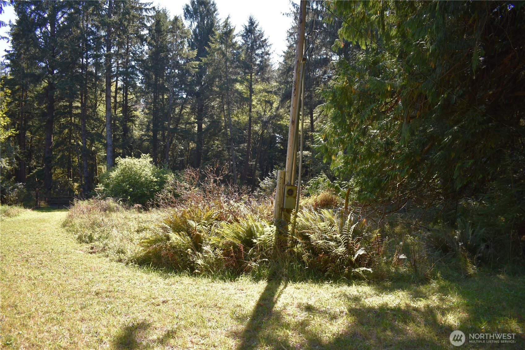 83 N Williams Creek Rd. Property Photo 9